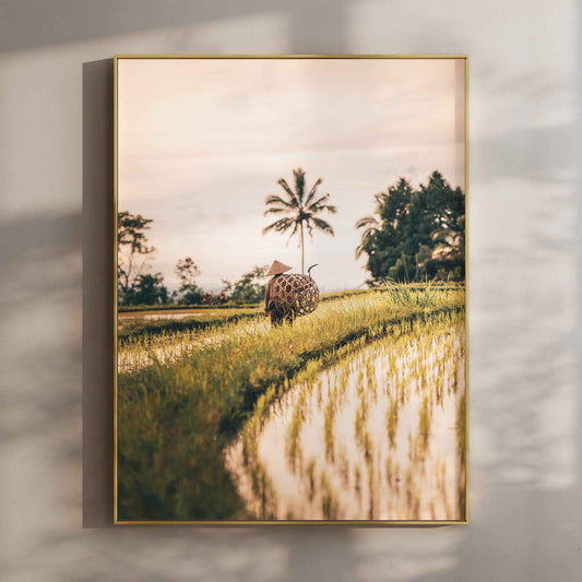 Jatiluwih Rice Fields Bali Wall Art Print – Indonesia Landscape Photography