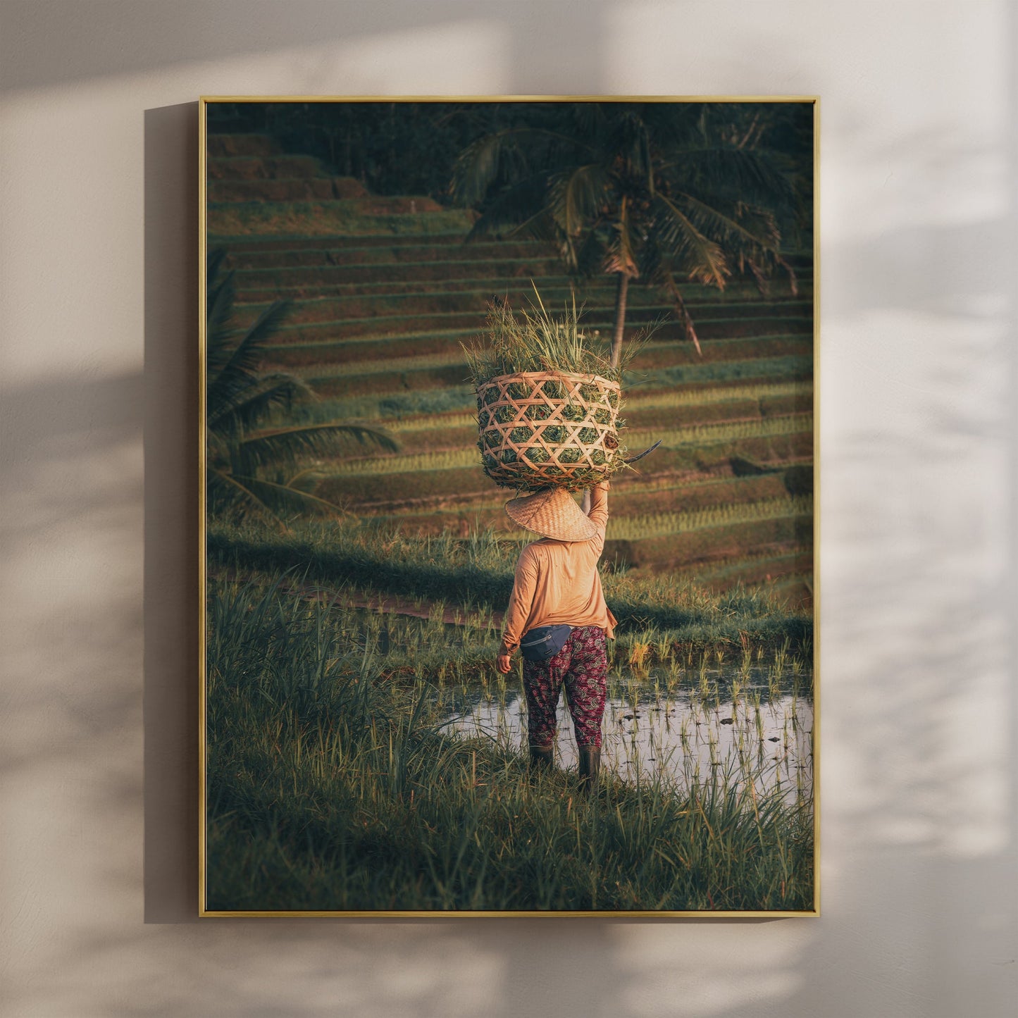 Jatiluwih Rice Fields, Bali - Photography Wall Art Print