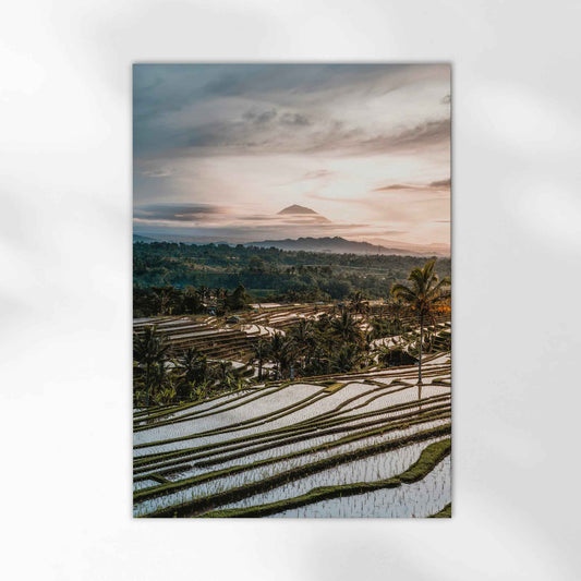 Jatiluwih Rice Terraces, Bali, Indonesia