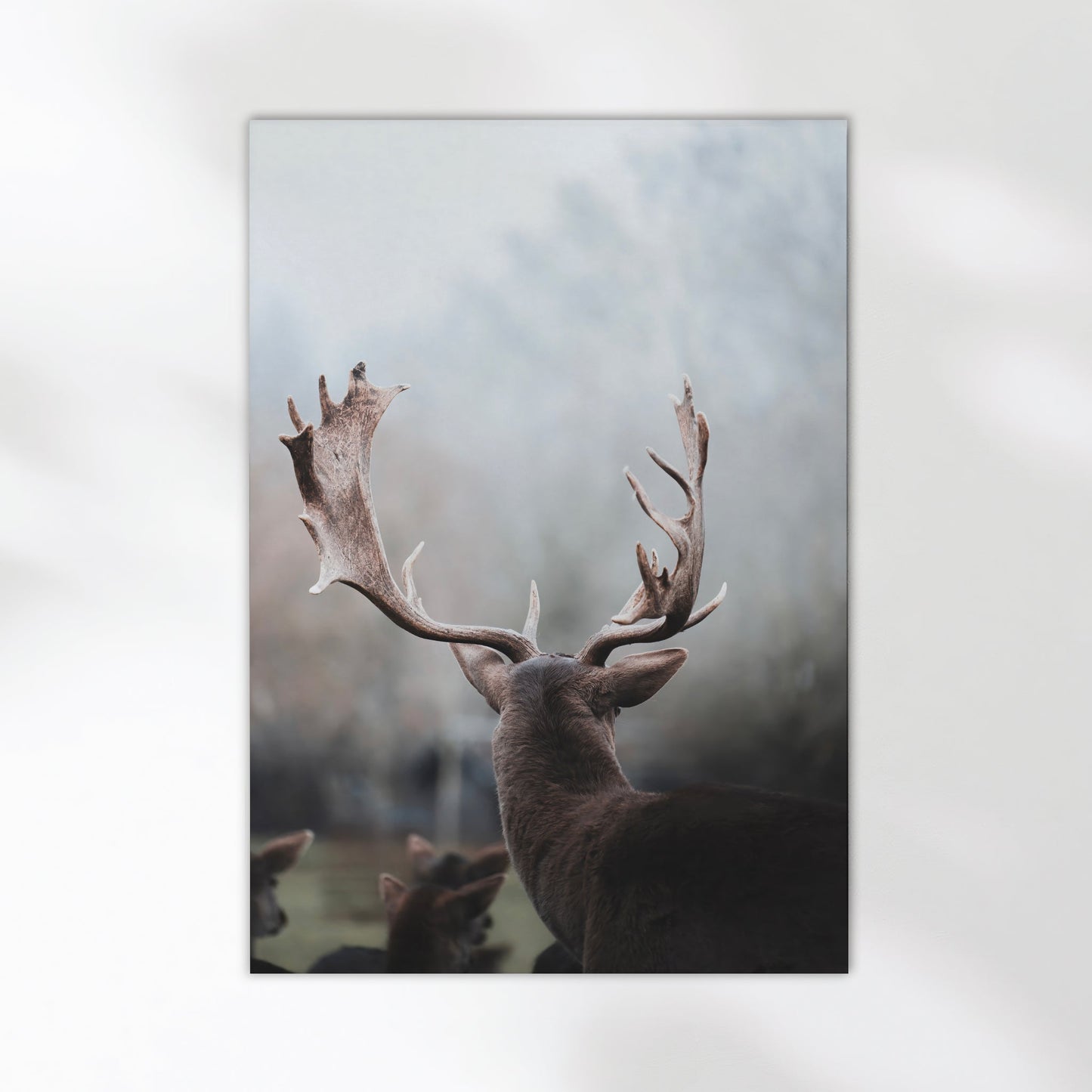 Bavarian Deer Print – Stag Wall Art from the Alps
