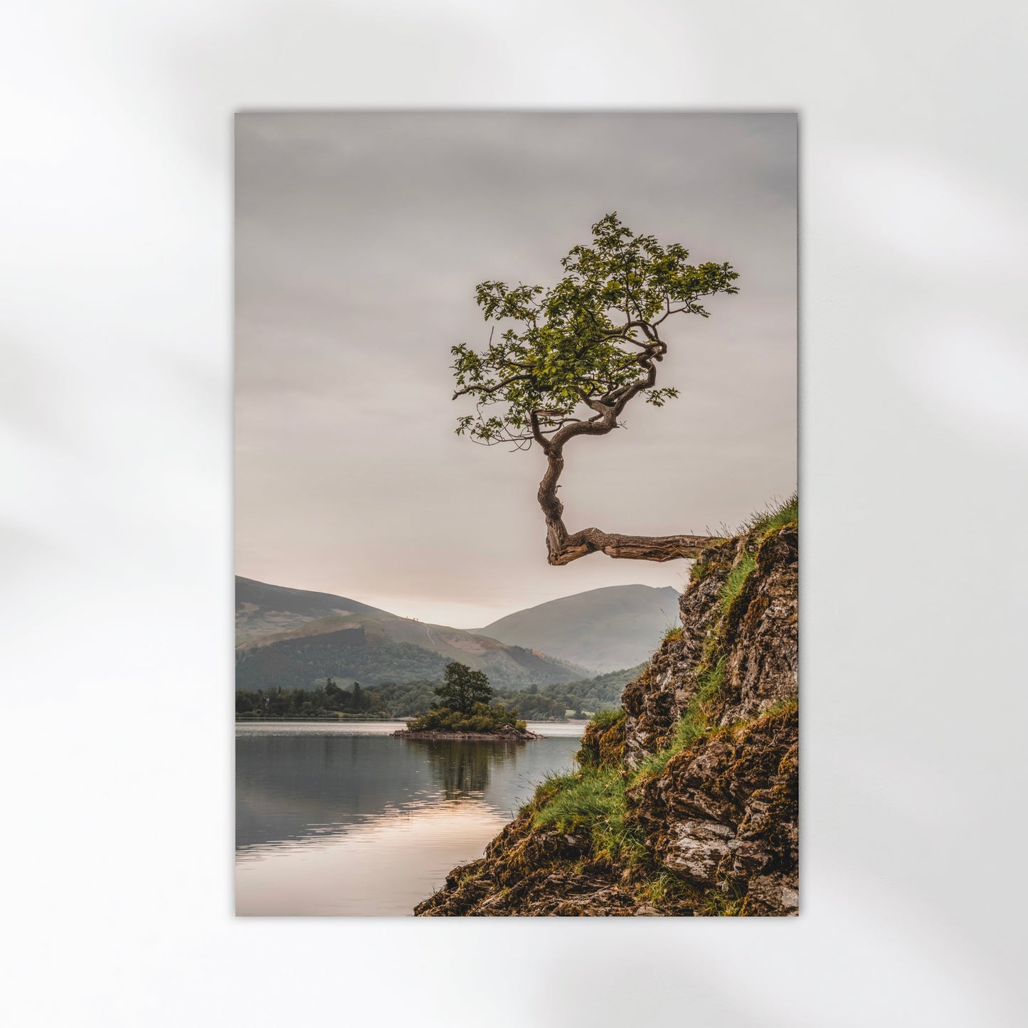 Lone Tree at Derwentwater – Lake District Wall Art Print