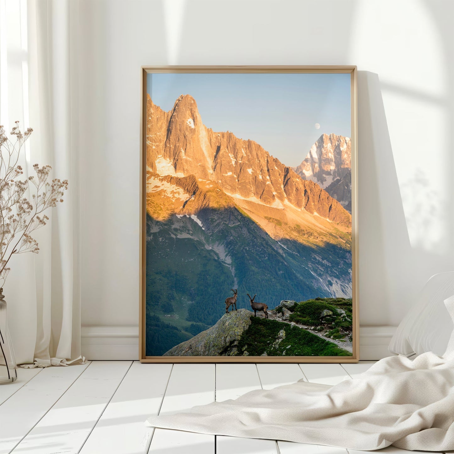 Les Drus Ibex Sunset Print – Mont Blanc Alpine Wildlife and Nature Wall Art