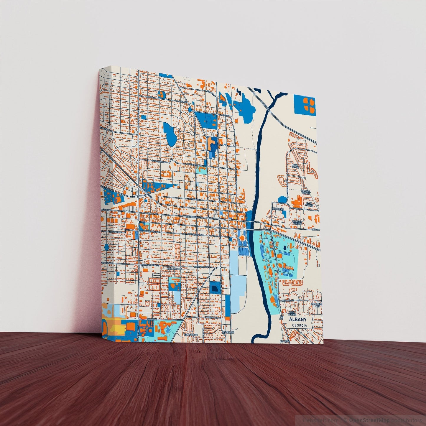 Albany Georgia Colorful City Map Canvas Print