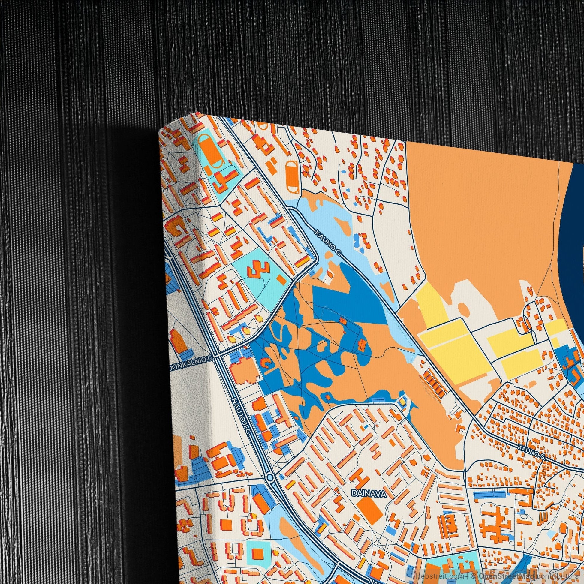 Alytus Lithuania Colorful City Map Canvas Print Detail