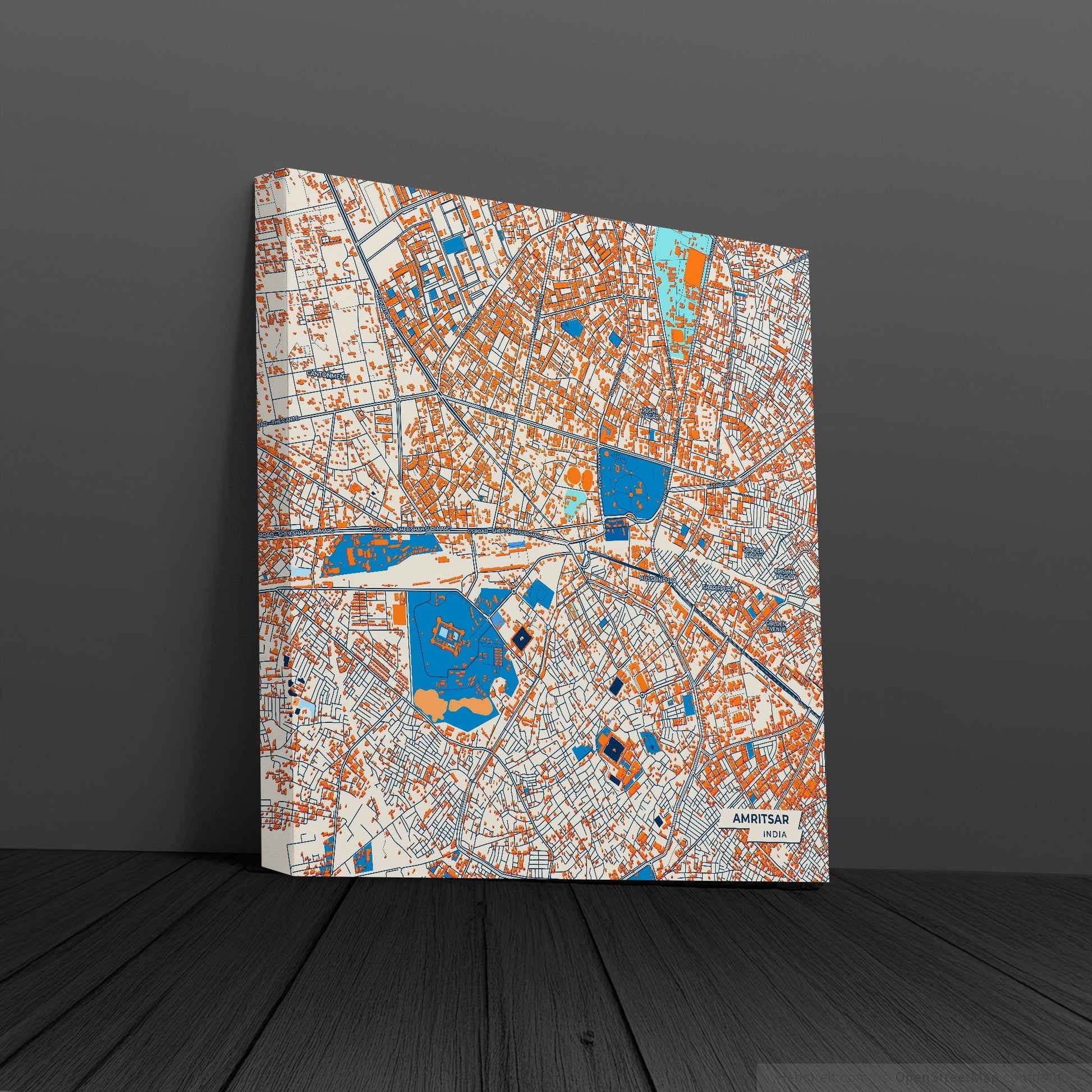 Amritsar India Colorful City Map Canvas Print