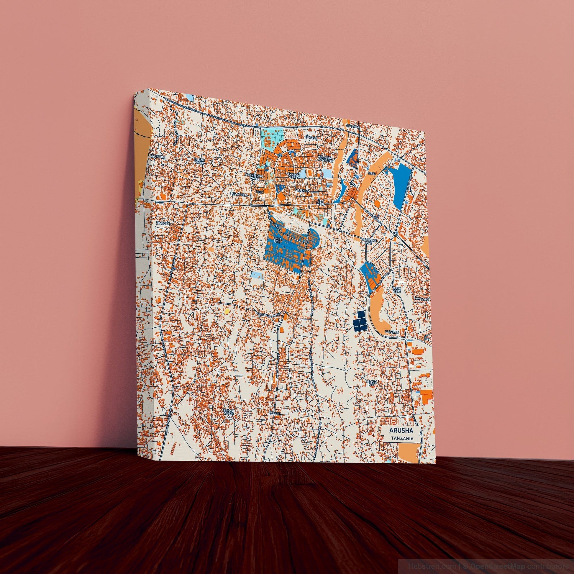 Arusha Tanzania Colorful City Map Canvas Print