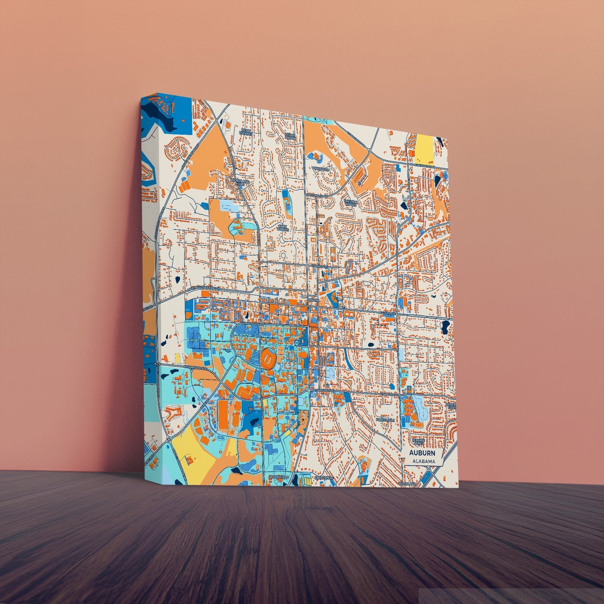 Auburn Alabama Colorful City Map Canvas Print