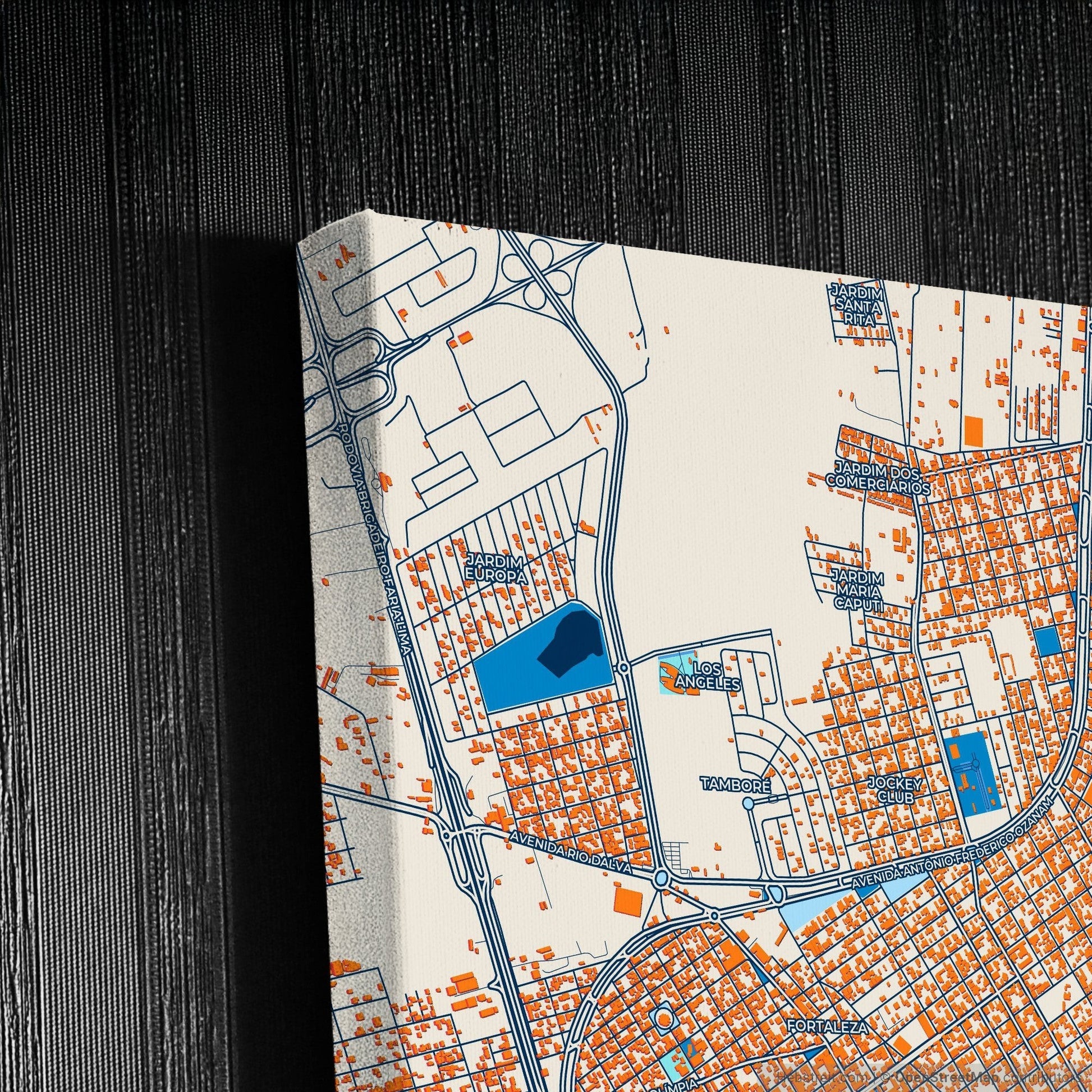 Barretos Brazil Colorful City Map Canvas Print Detail