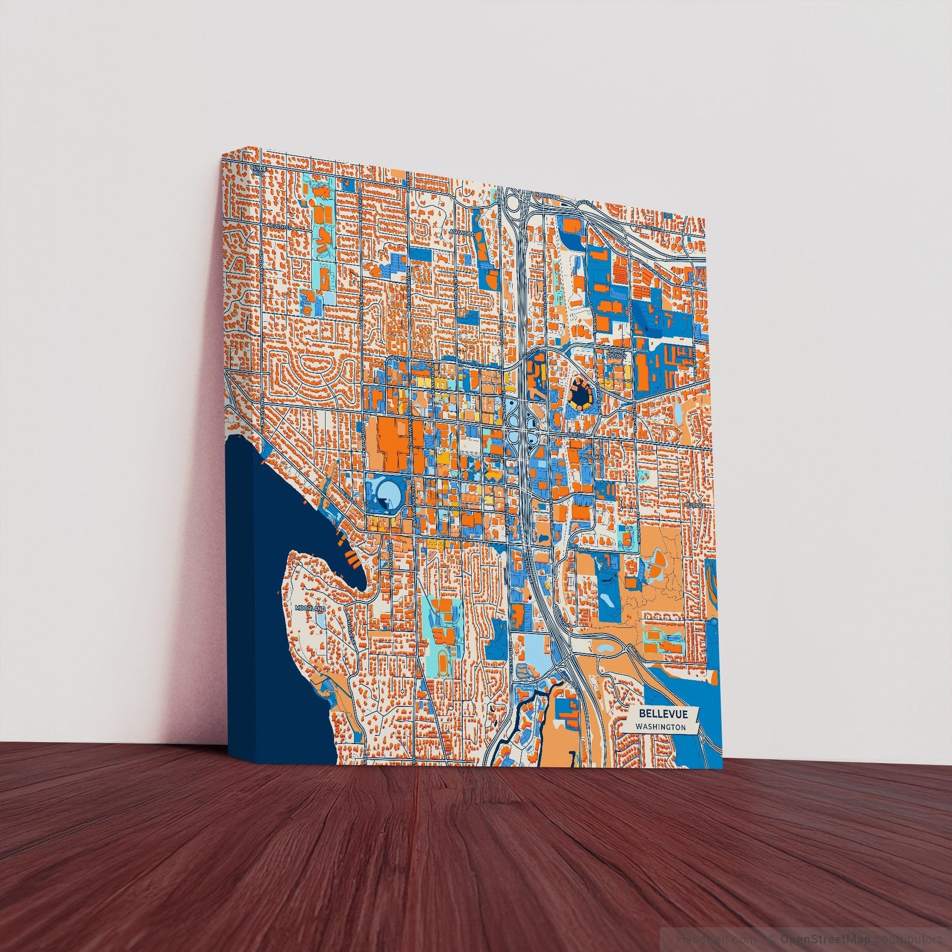 Bellevue Washington Colorful City Map Canvas Print
