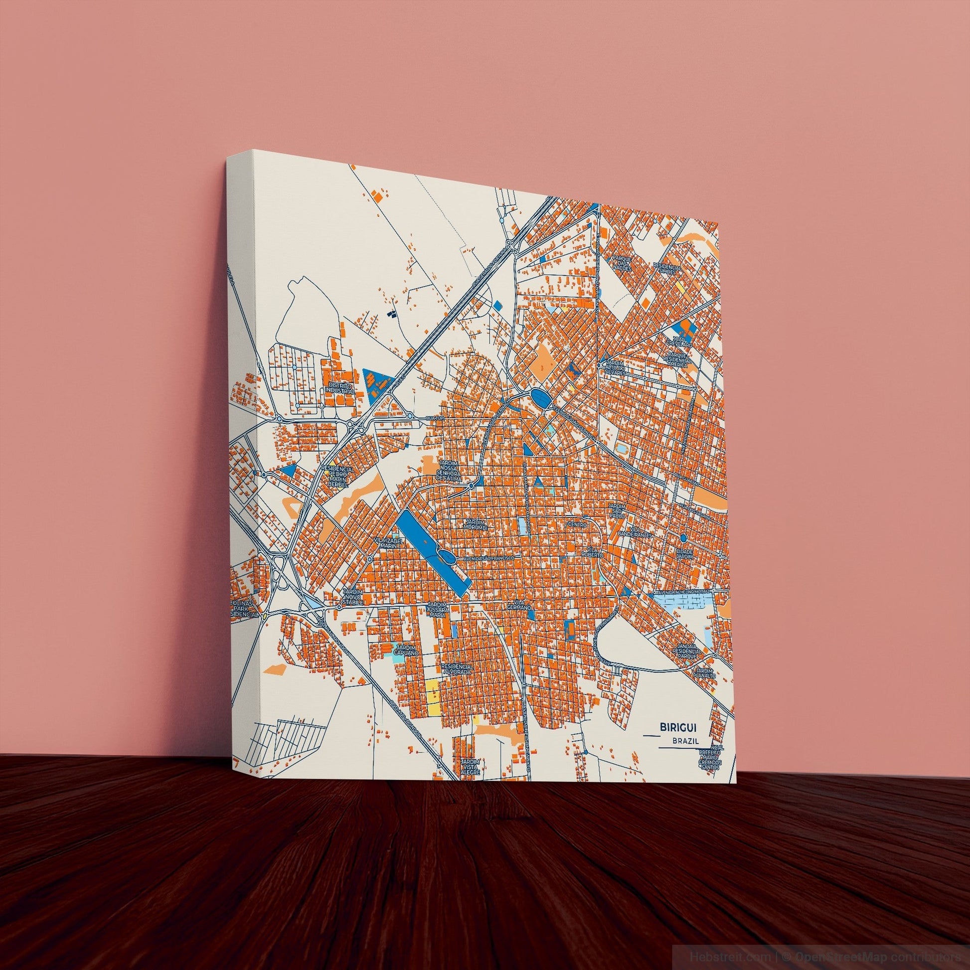 Birigui Brazil Colorful City Map Canvas Print