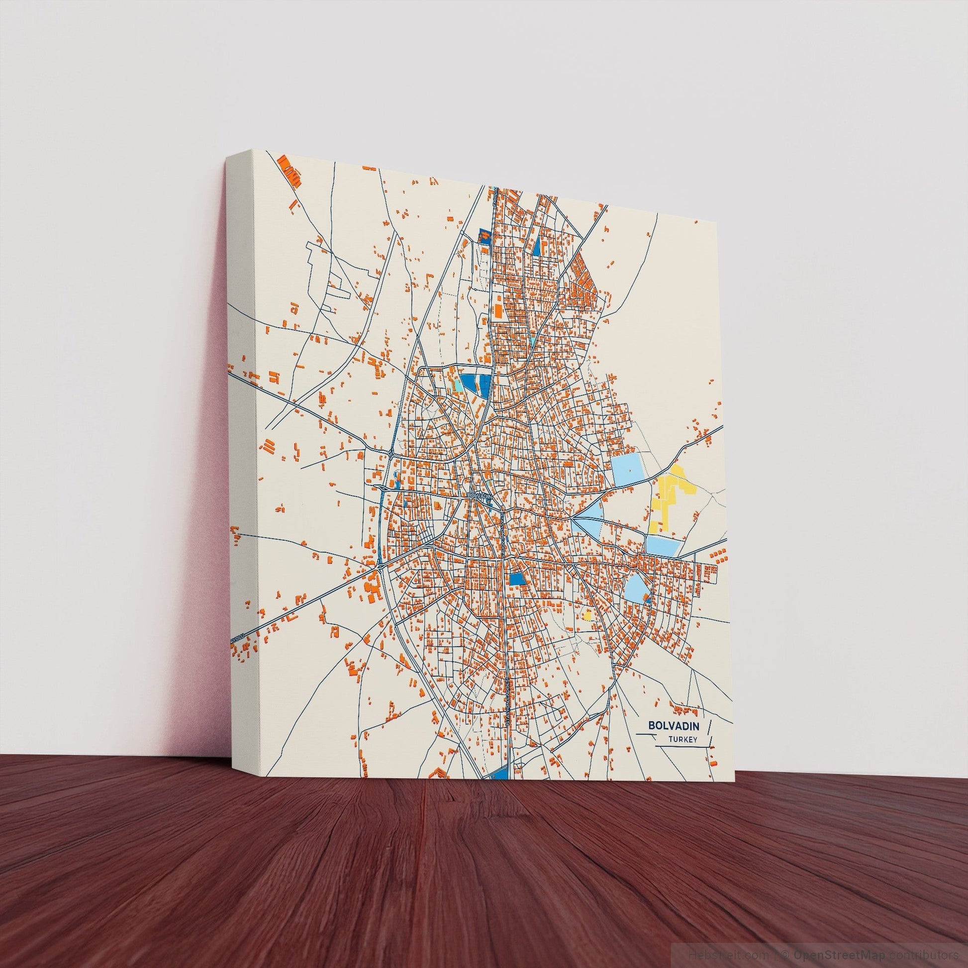 Bolvadin Turkey Colorful City Map Canvas Print