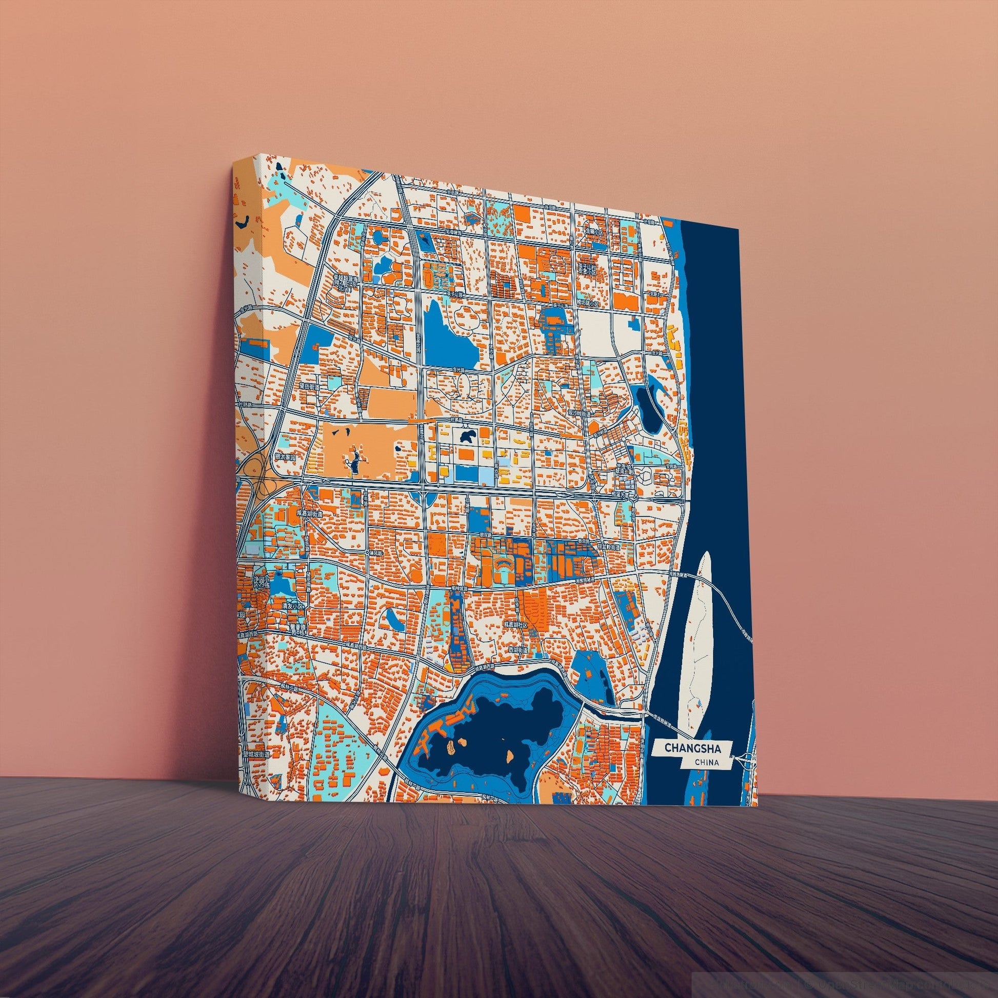 Changsha China Colorful City Map Canvas Print
