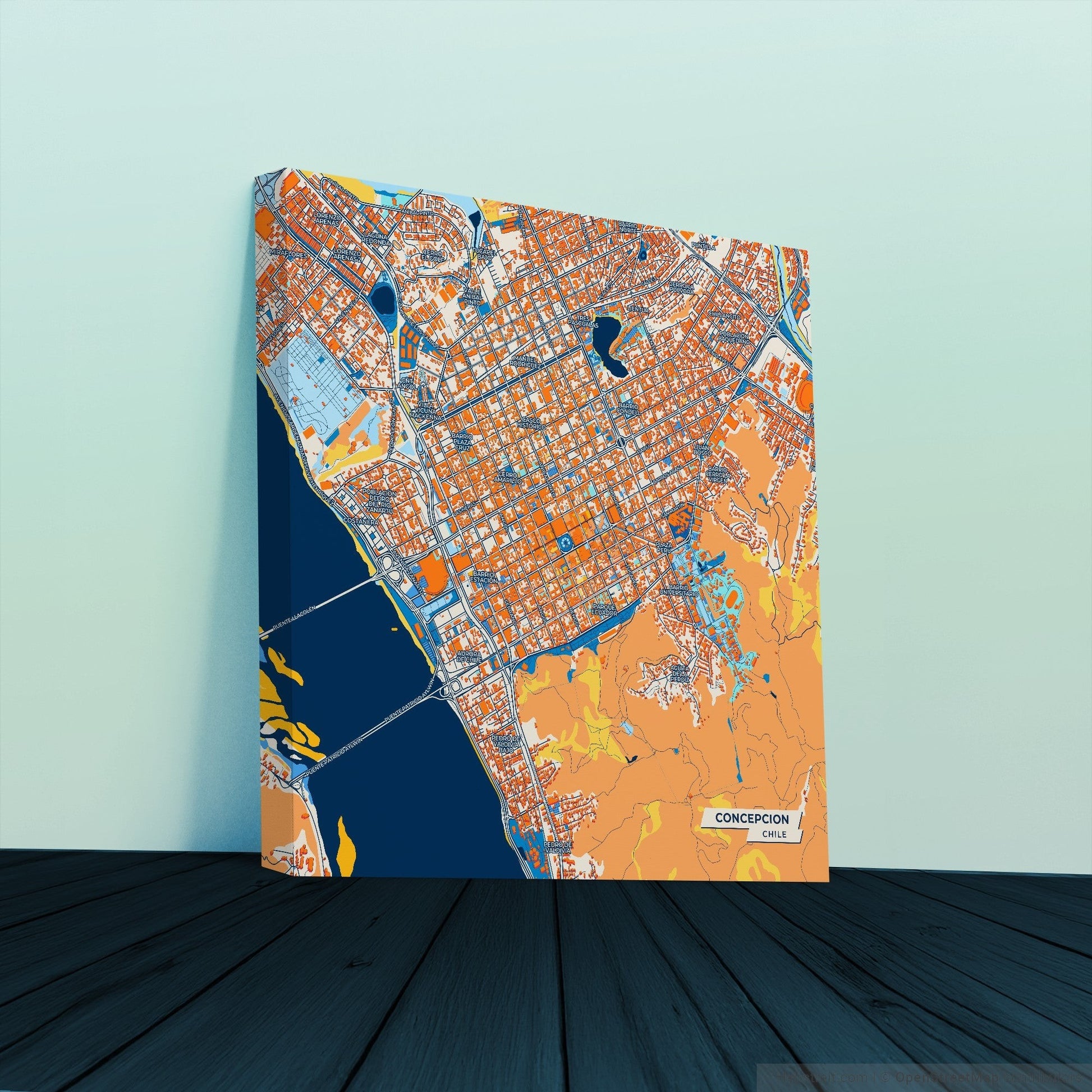 Concepcion Chile Colorful City Map Canvas Print