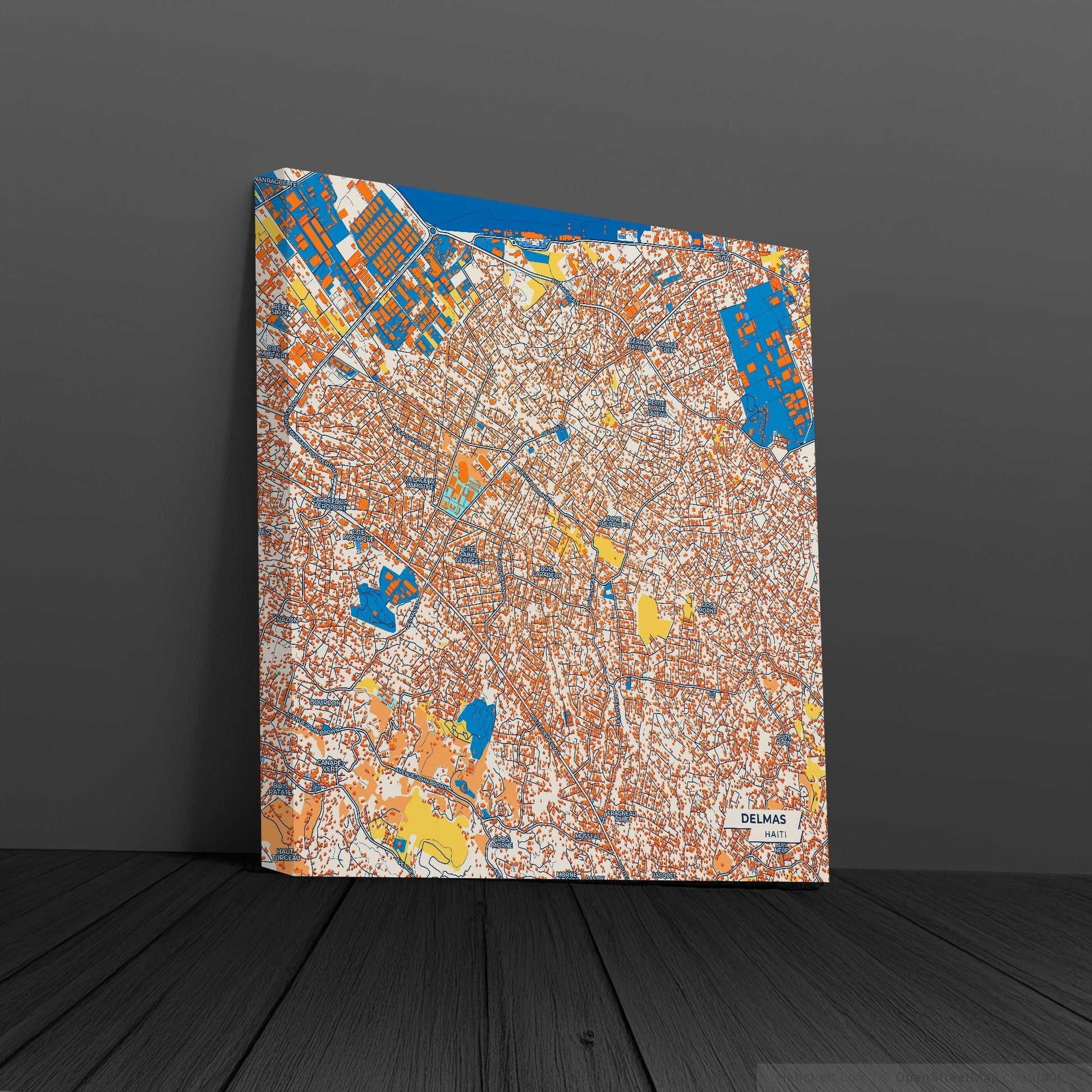 Delmas Haiti Colorful City Map Canvas Print