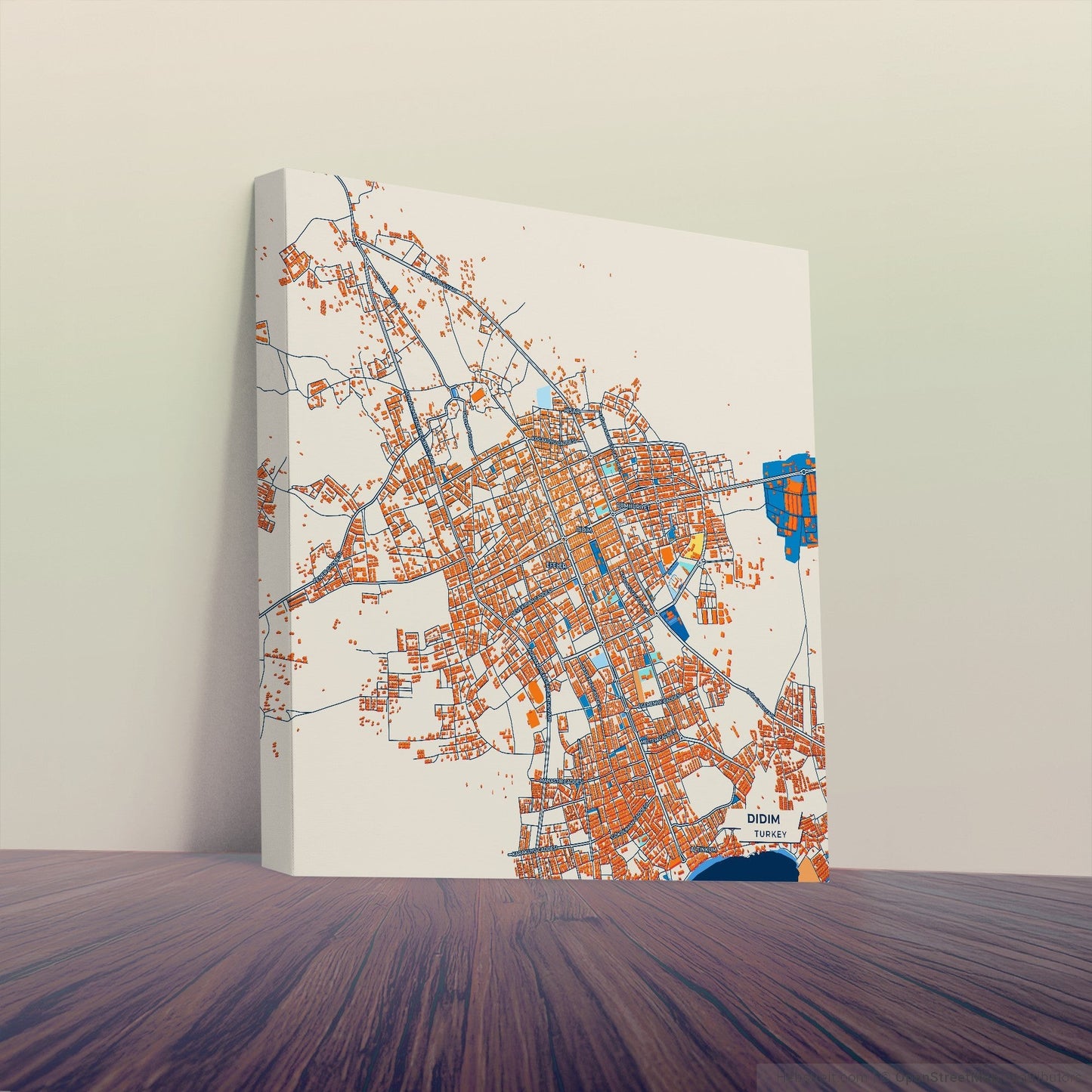 Di̇di̇m Turkey Colorful City Map Canvas Print