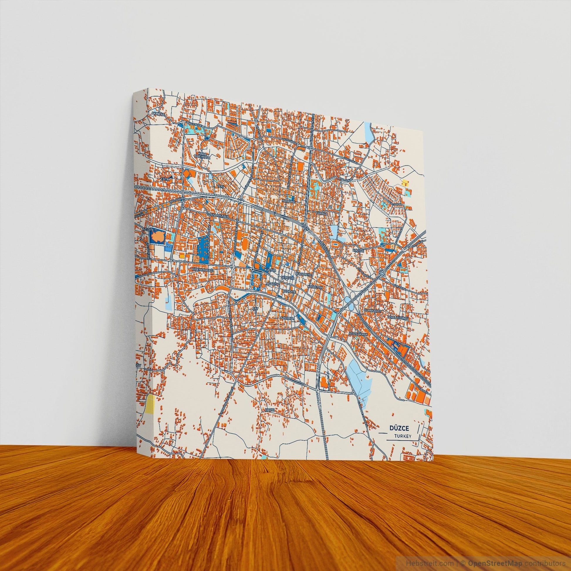 Düzce Turkey Colorful City Map Canvas Print