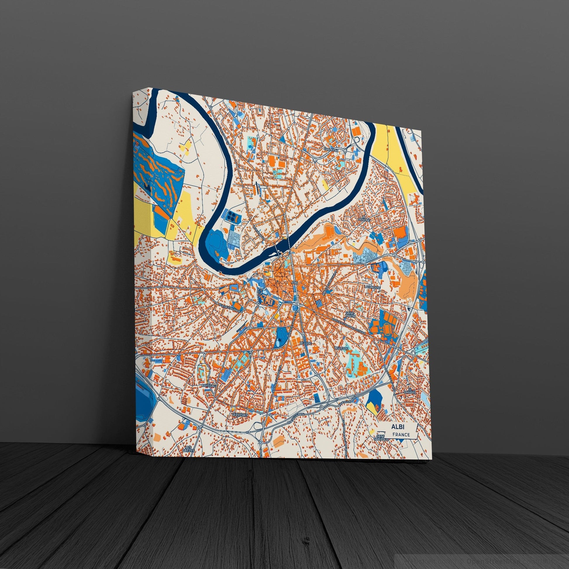 Albi France Colorful City Map Canvas Print