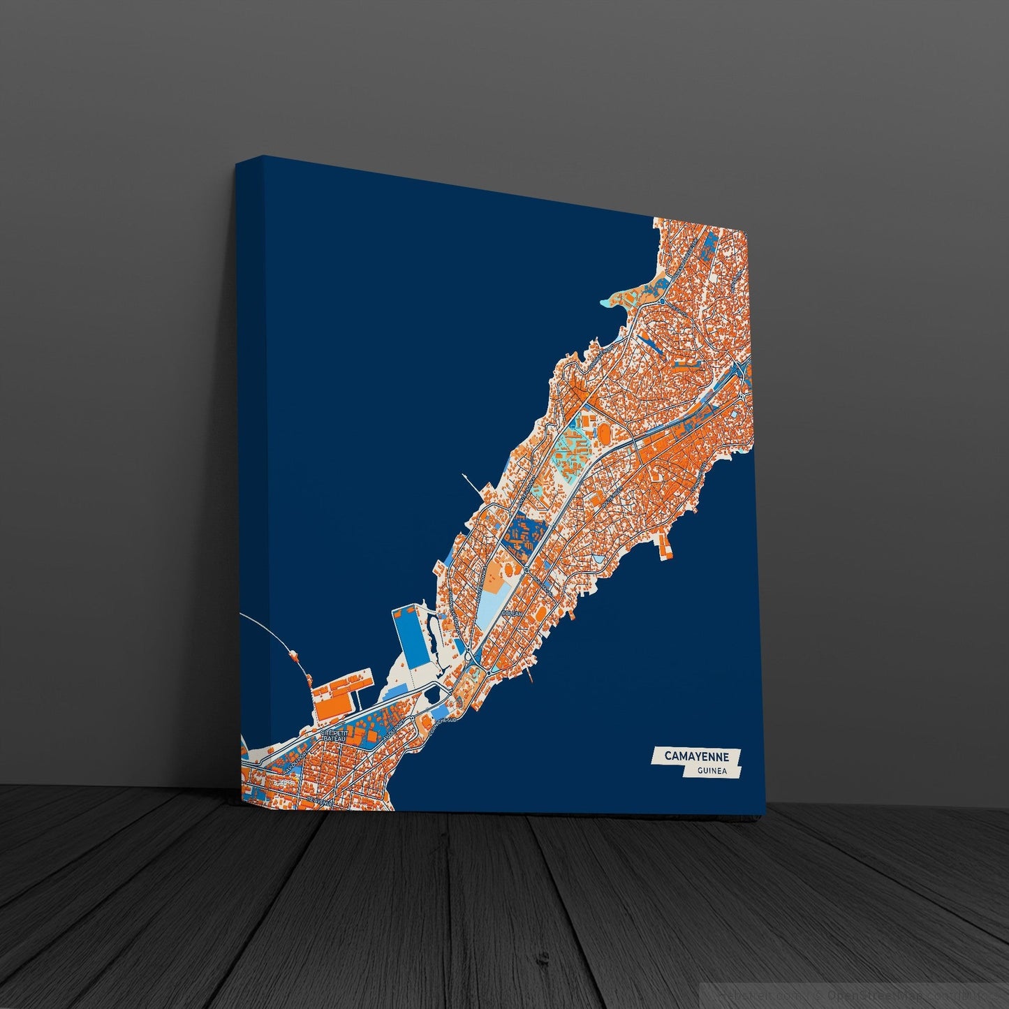 Camayenne Guinea Colorful City Map Canvas Print