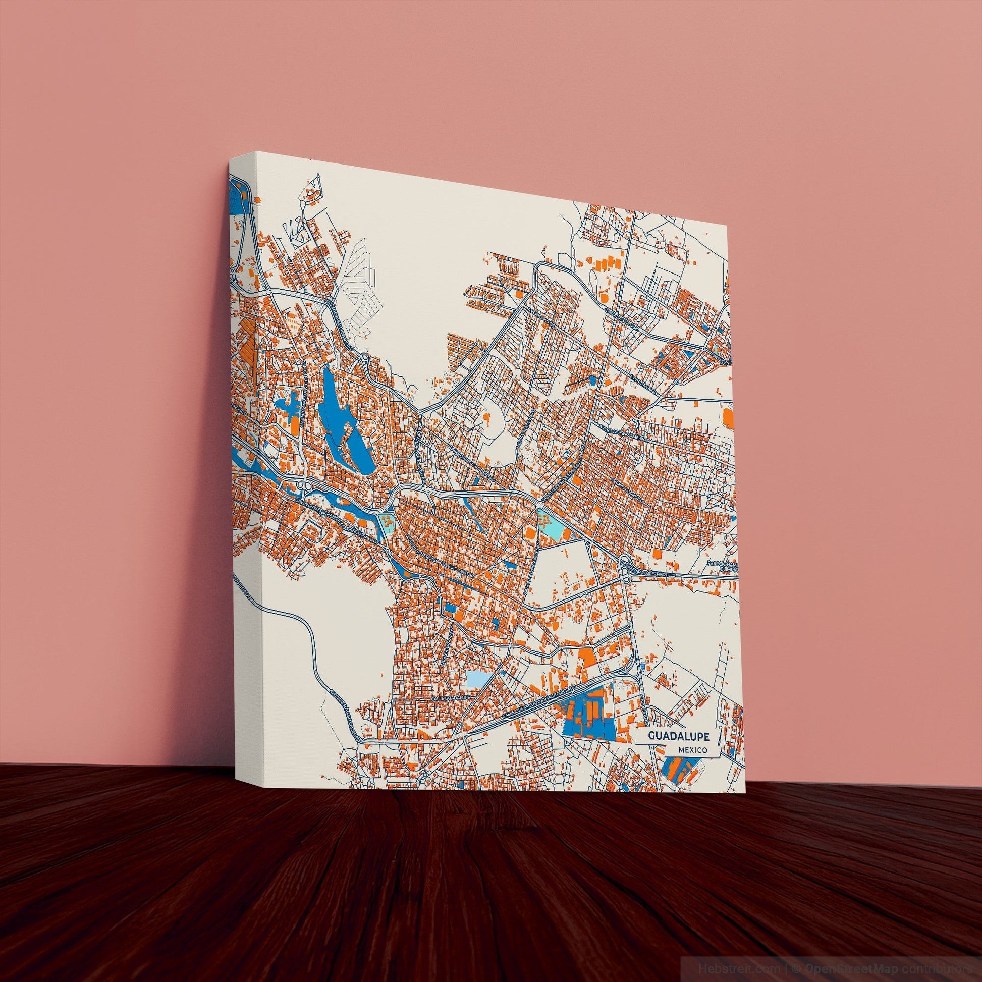 Guadalupe Mexico Colorful City Map Canvas Print