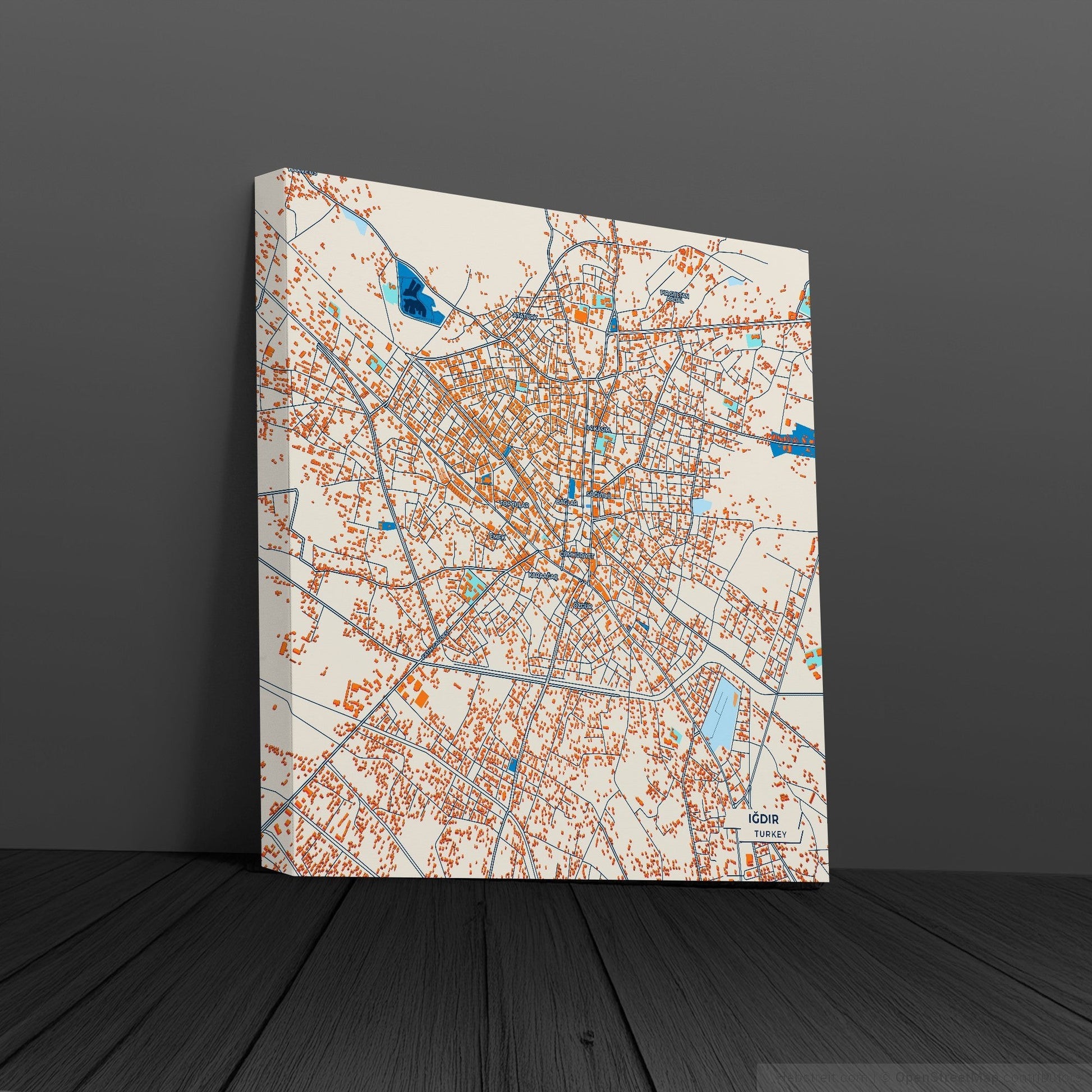 Iğdir Turkey Colorful City Map Canvas Print