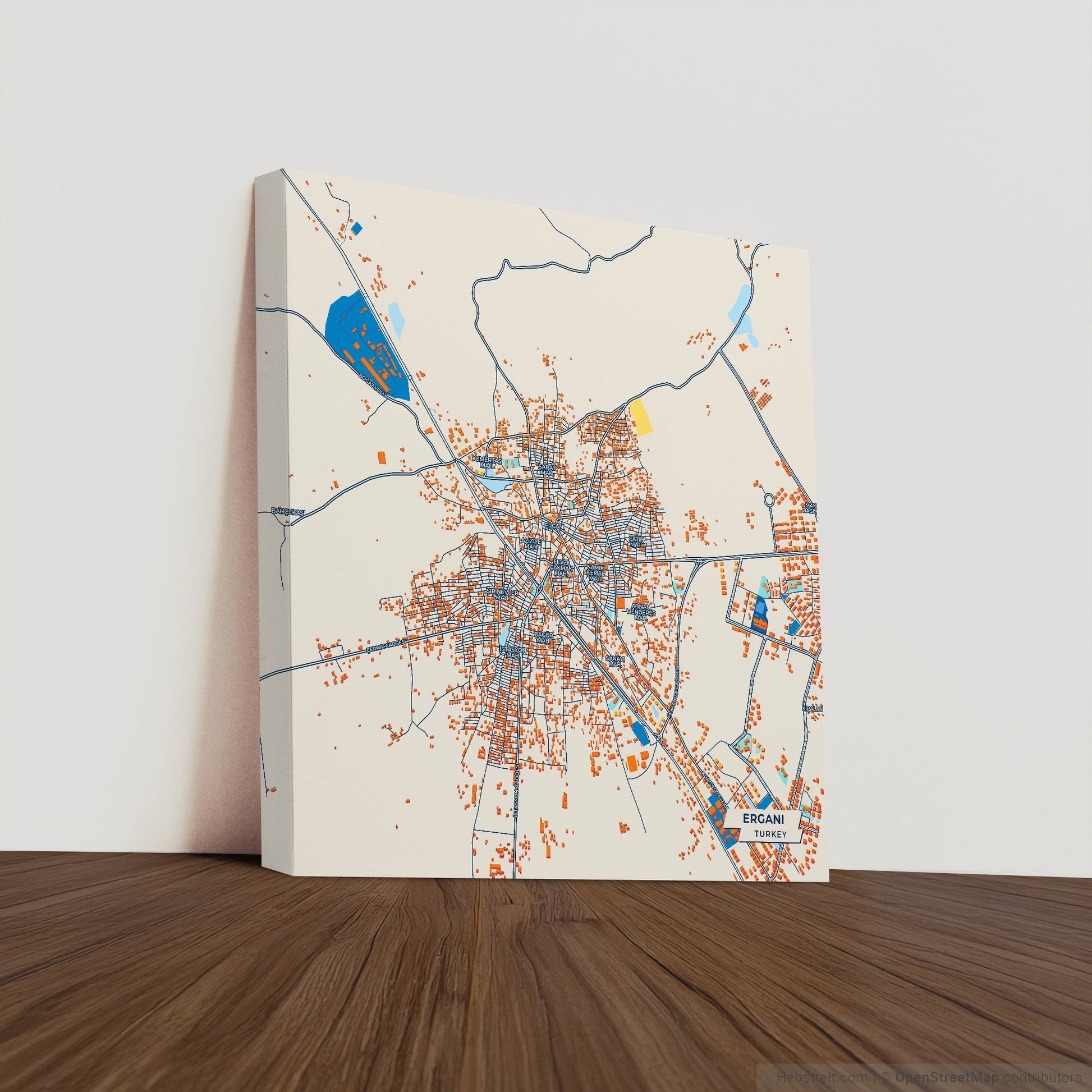 Ergani Turkey Colorful City Map Canvas Print