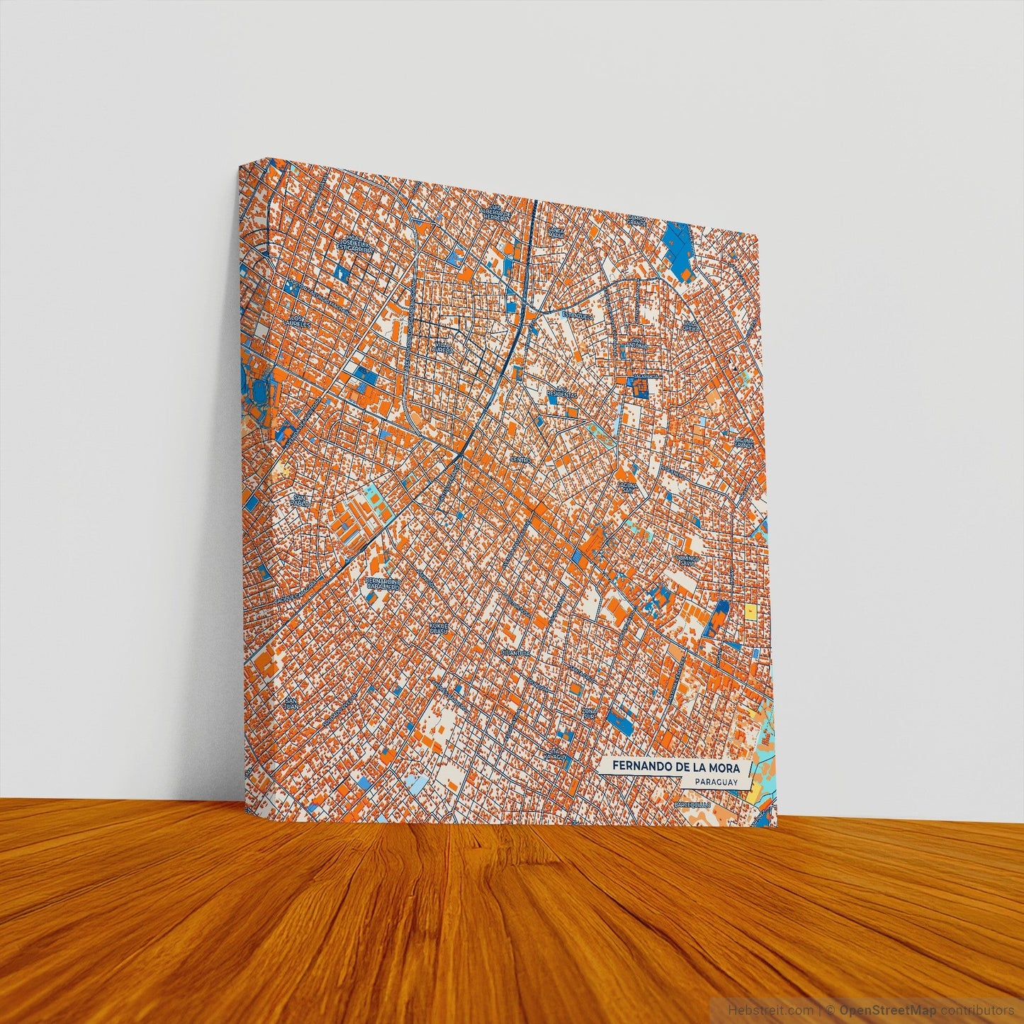 Fernando De La Mora Paraguay Colorful City Map Canvas Print