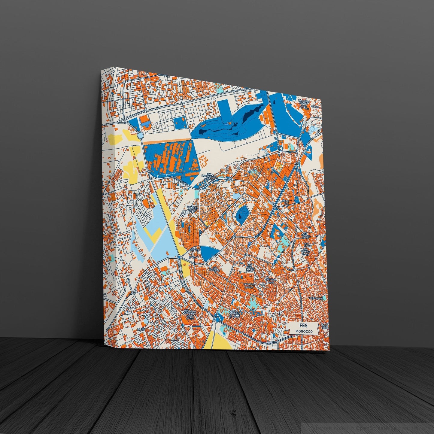 Fes Morocco Colorful City Map Canvas Print