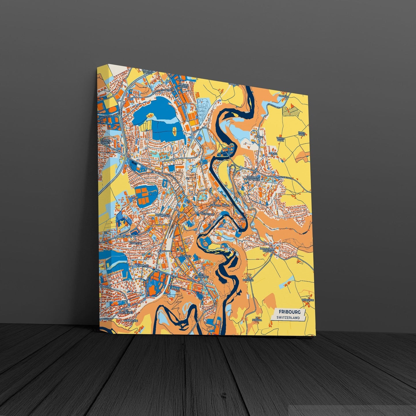 Fribourg Switzerland Colorful City Map Canvas Print