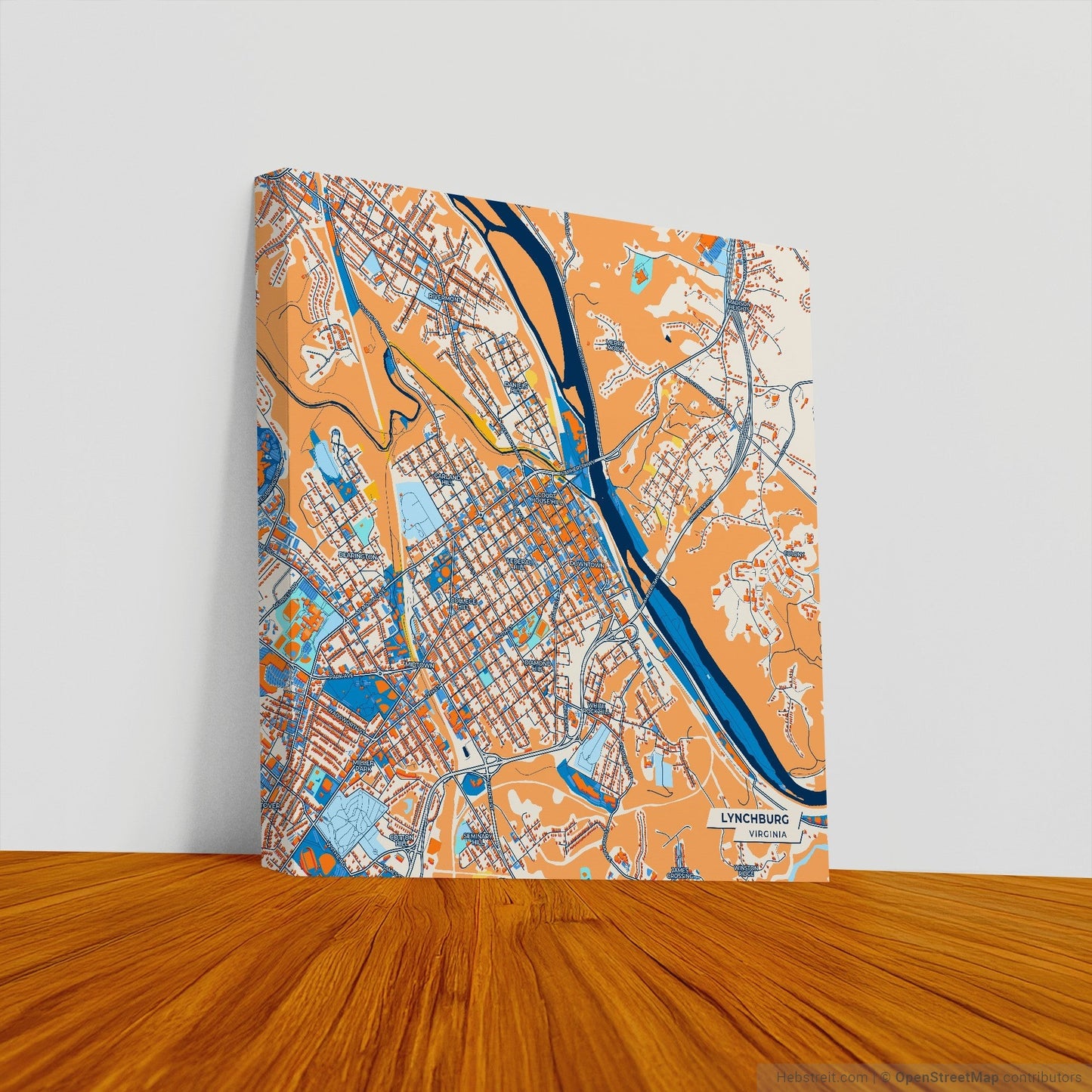 Lynchburg Virginia Colorful City Map Canvas Print