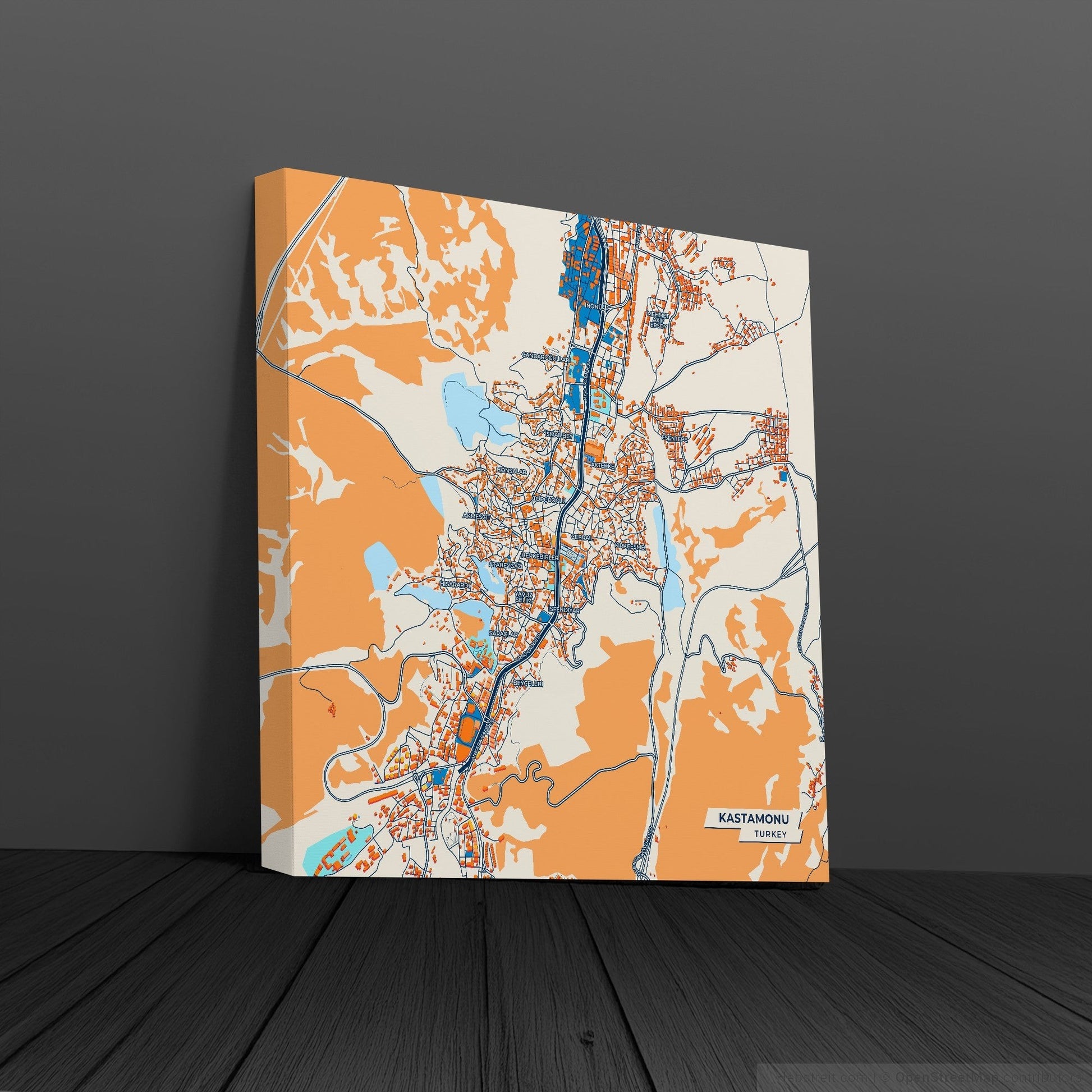 Kastamonu Turkey Colorful City Map Canvas Print