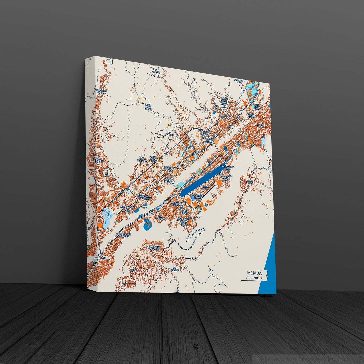 Merida Venezuela Colorful City Map Canvas Print