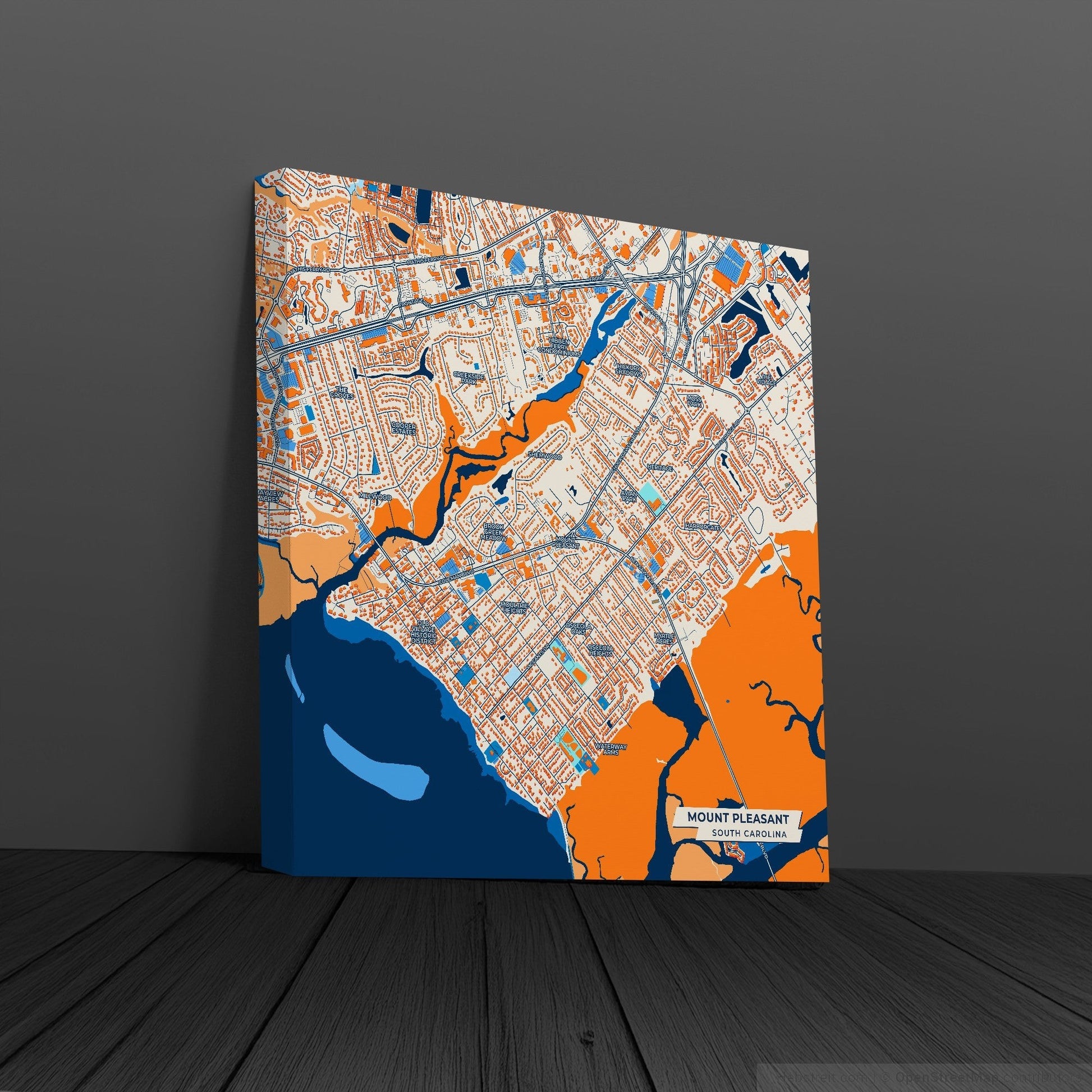 Mount Pleasant South Carolina Colorful City Map Canvas Print