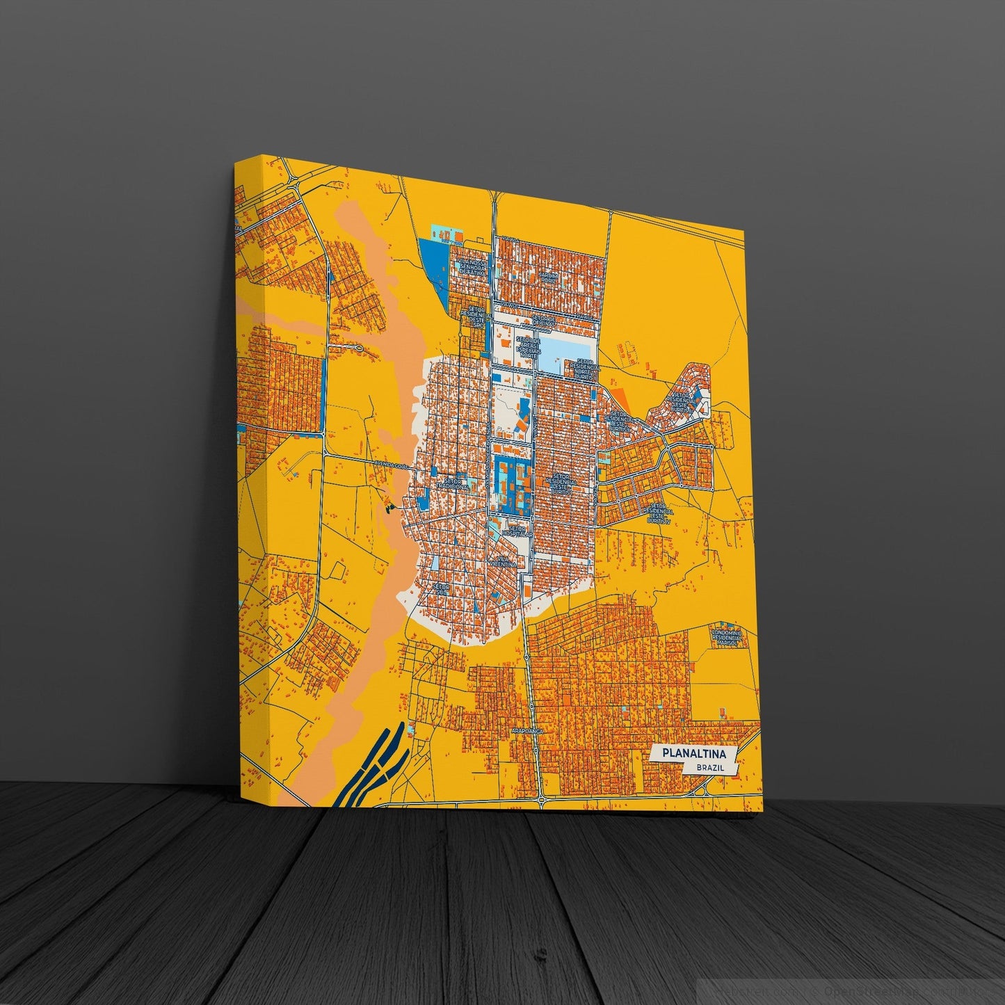 Planaltina Brazil Colorful City Map Canvas Print