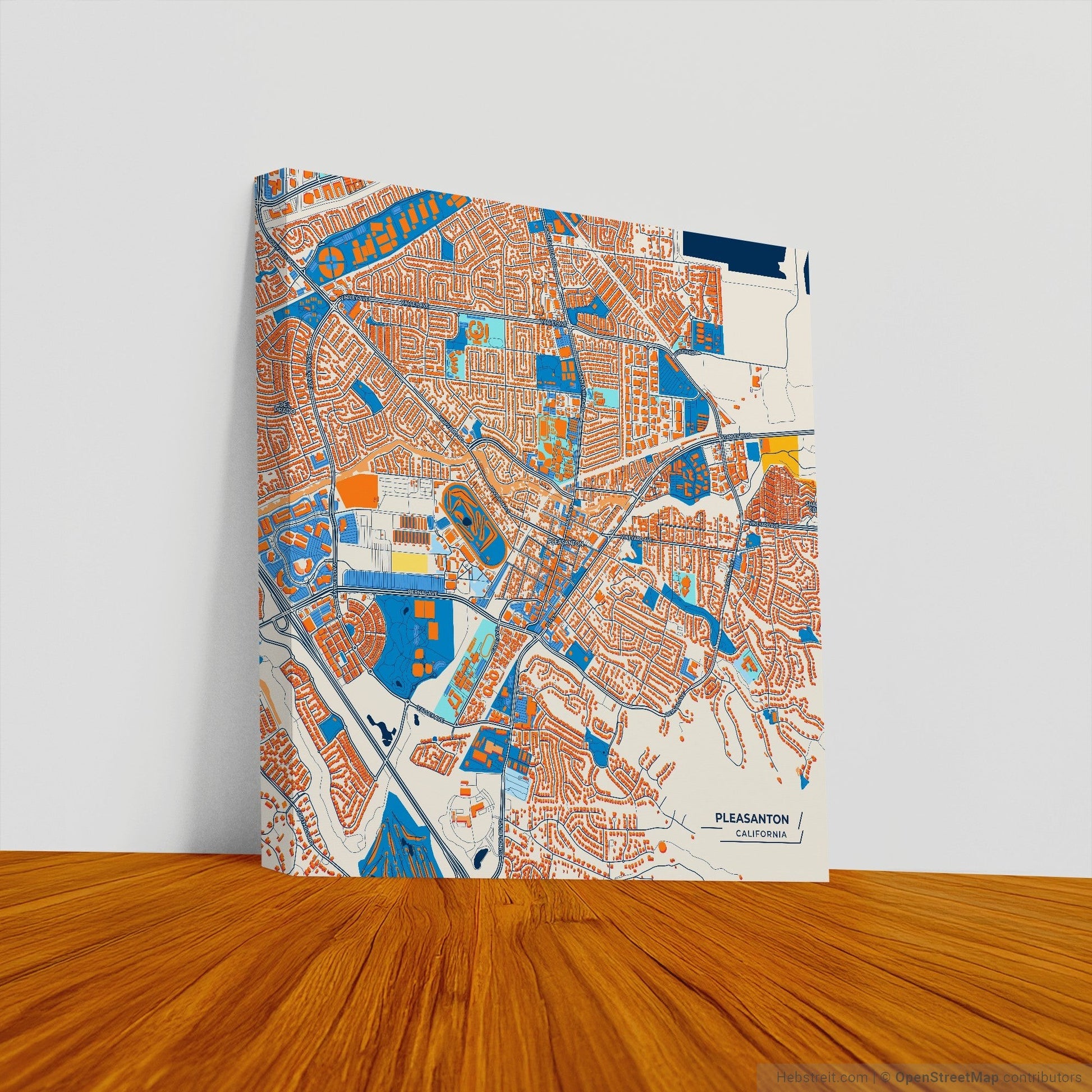 Pleasanton California Colorful City Map Canvas Print