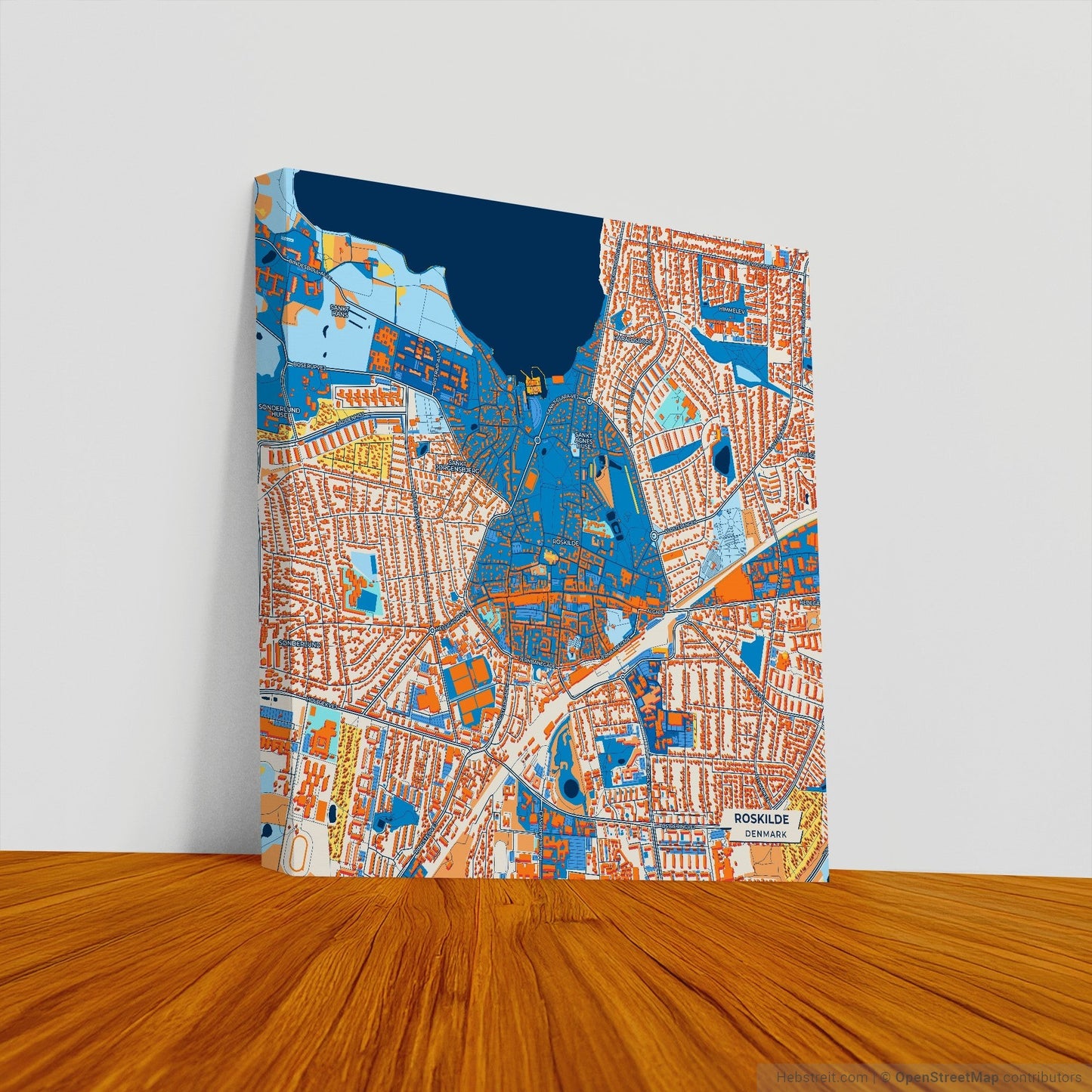 Roskilde Denmark Colorful City Map Canvas Print
