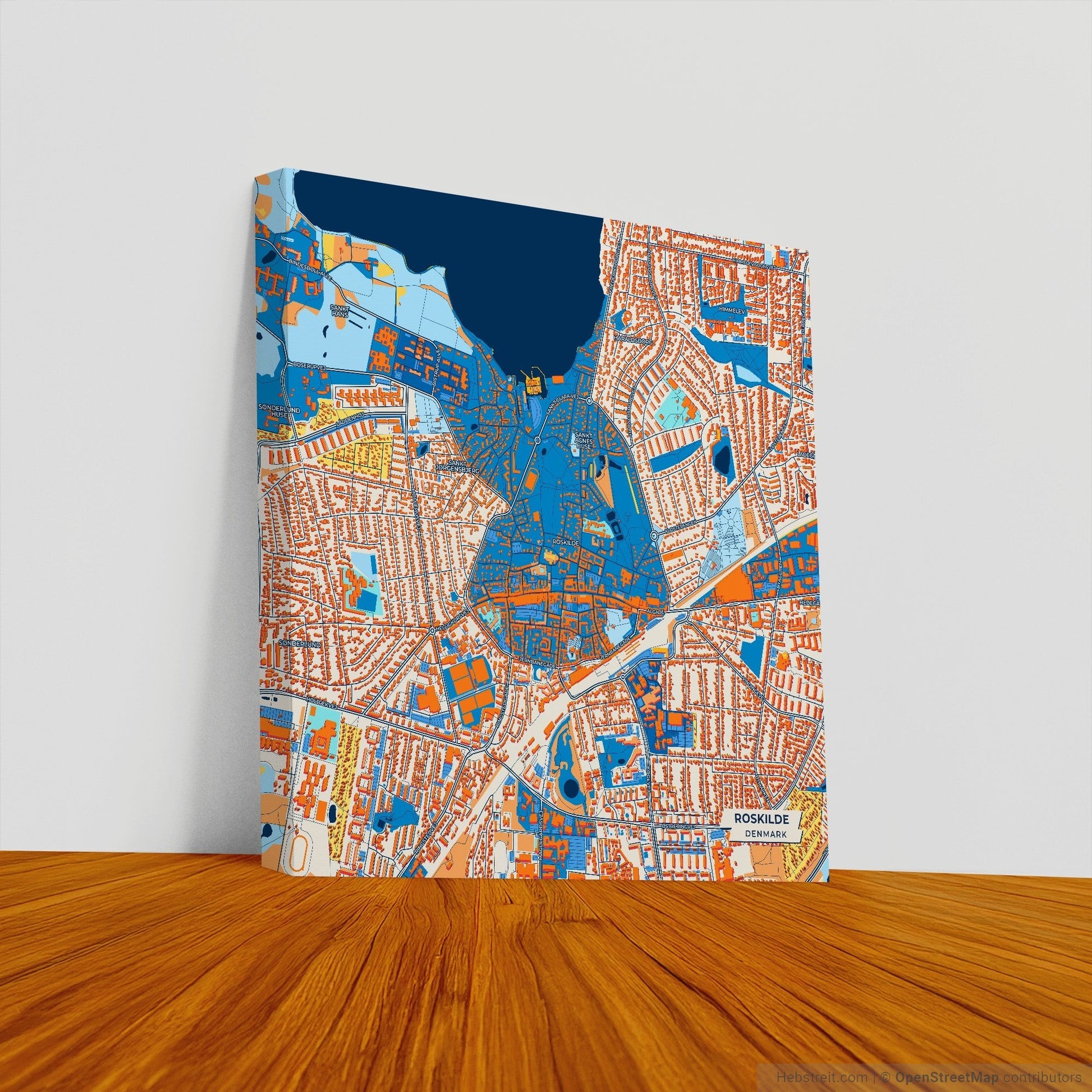 Roskilde Denmark Colorful City Map Canvas Print