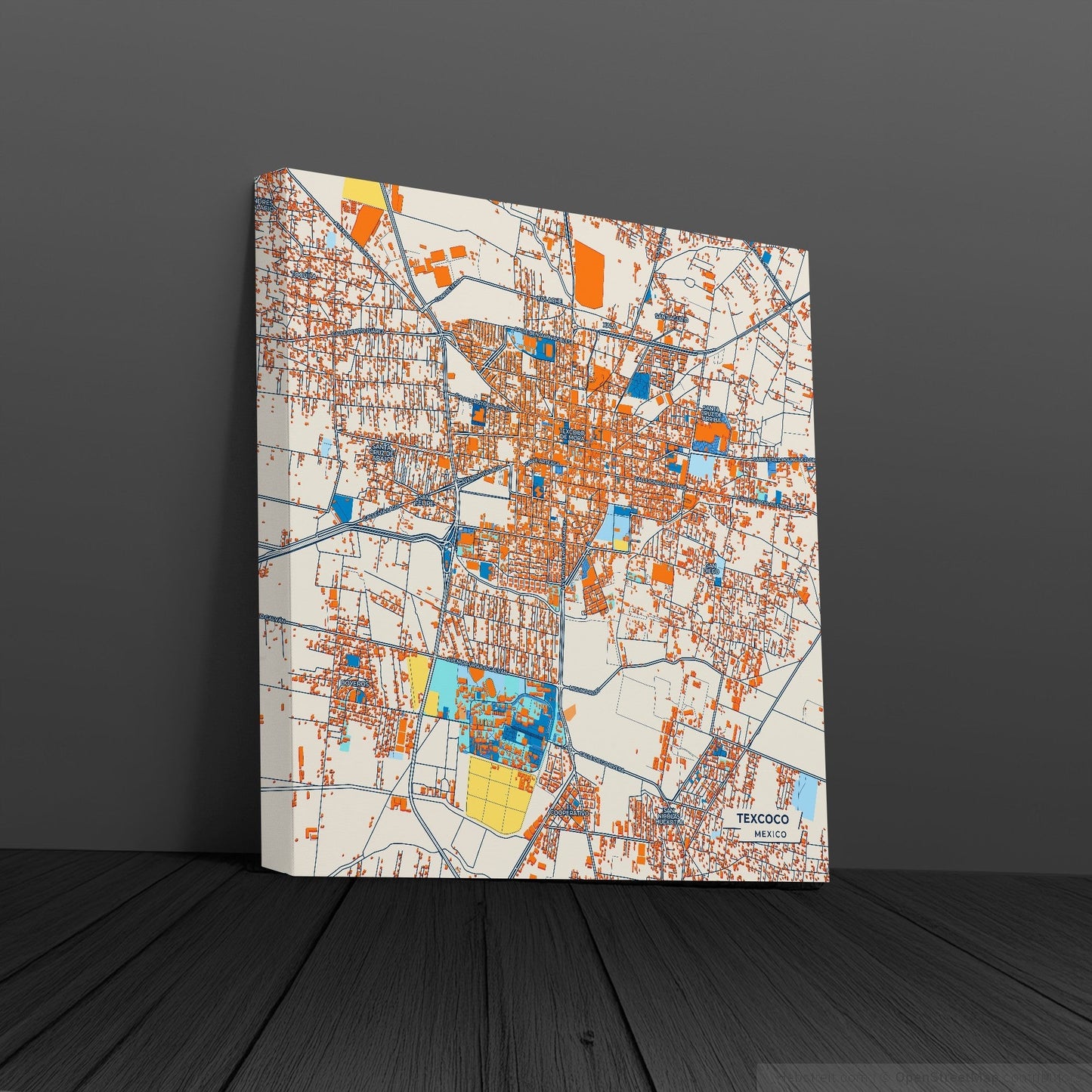 Texcoco Mexico Colorful City Map Canvas Print