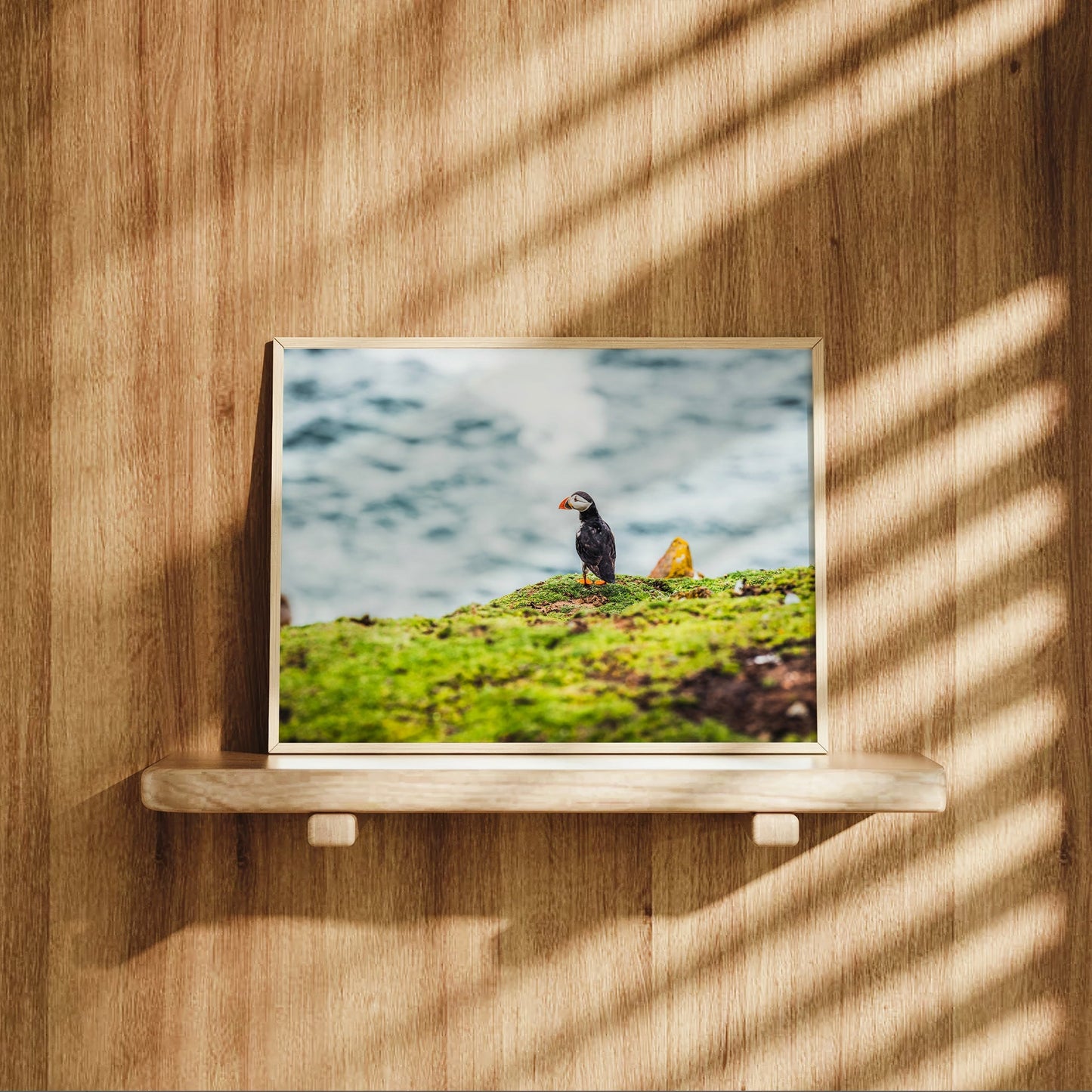 Puffin on Saltee Island – Irish Coastal Wall Art Print