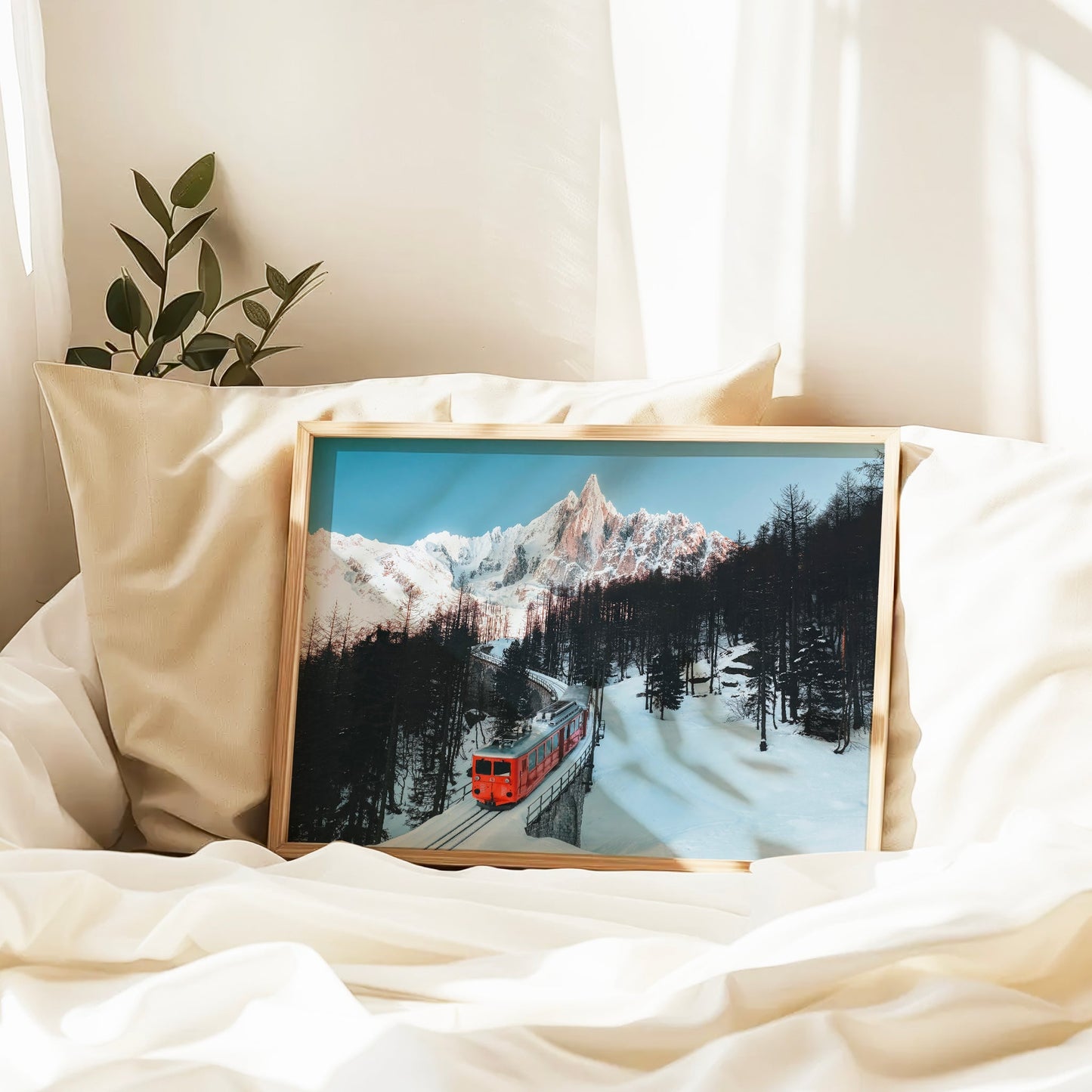 Mer de Glace et train du Montenvers, Chamonix