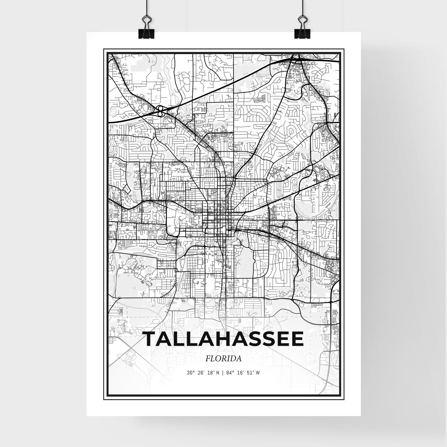 Tallahassee Florida - Premium City Map Poster