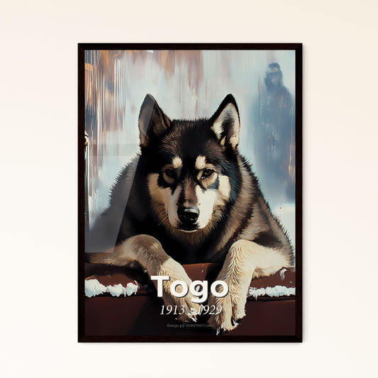 Portrait of Togo, 1913 - 1929. Impressionistic painting of a dog lying on a window ledge.