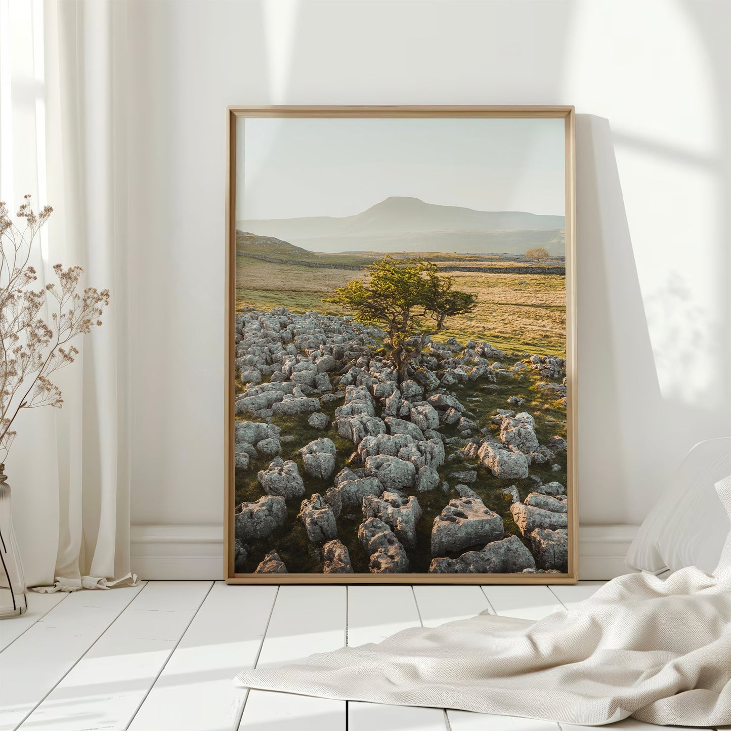 Lone Tree, Ingleborough – Yorkshire Dales Wall Art Print