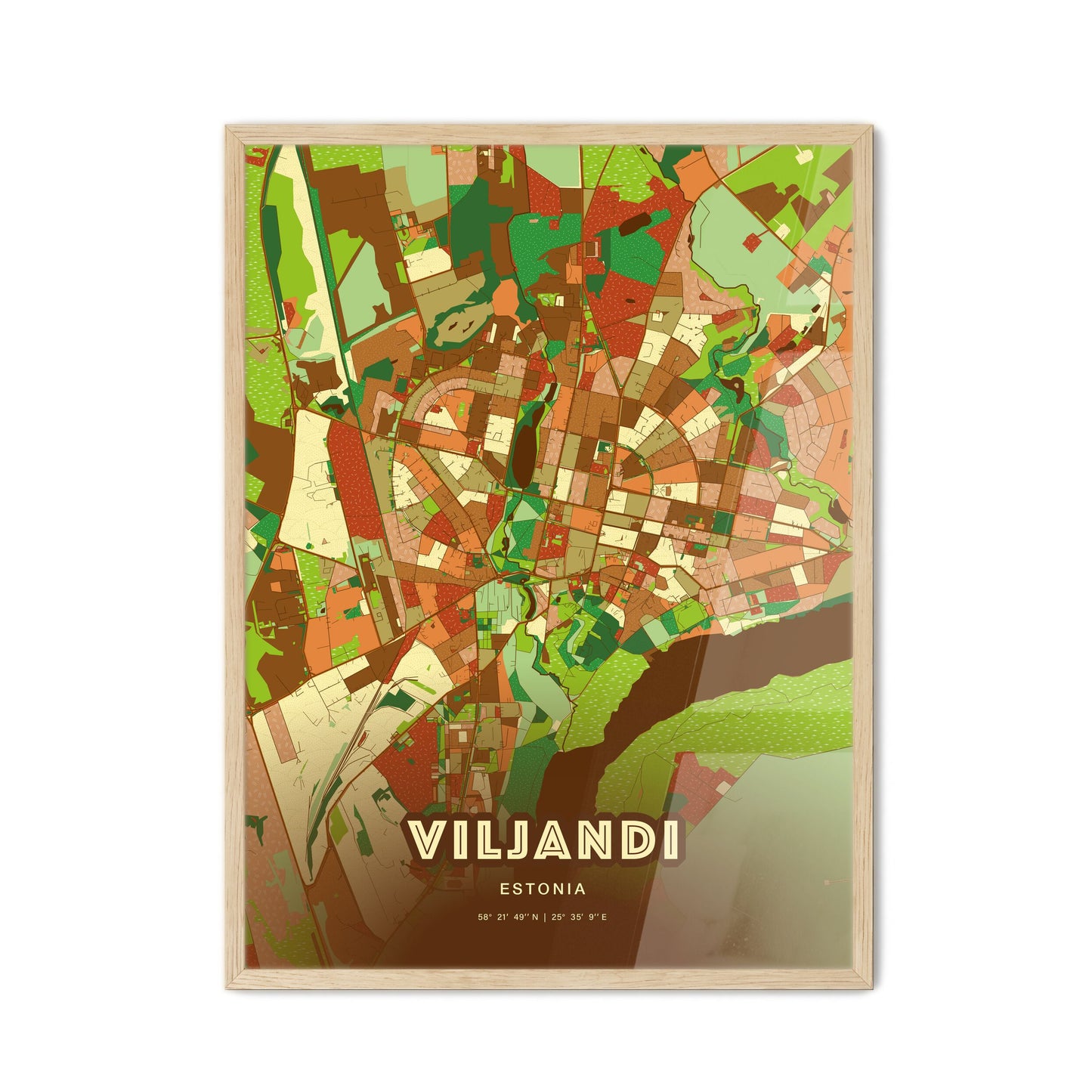 Colorful VILJANDI ESTONIA Fine Art Map Farmhouse