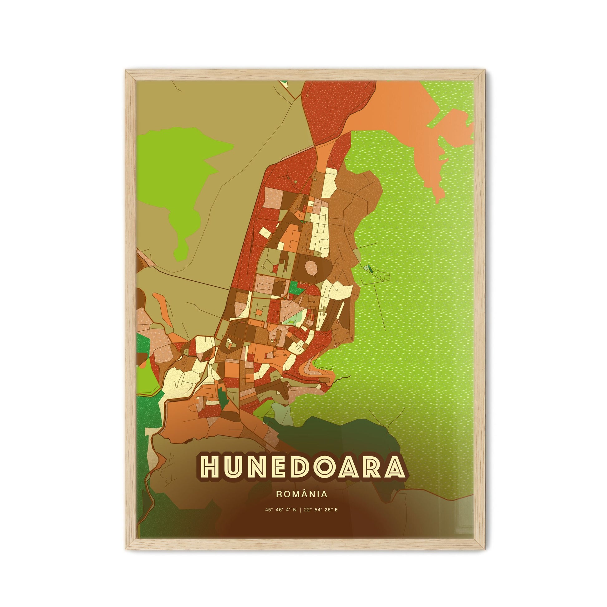 Colorful HUNEDOARA ROMANIA Fine Art Map Farmhouse