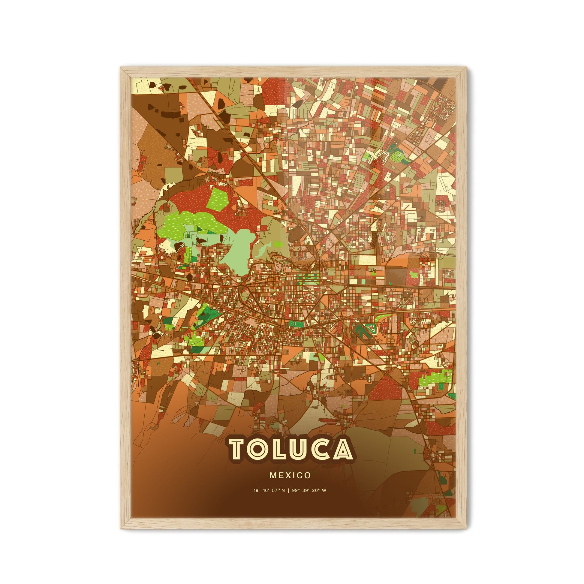 Colorful TOLUCA MEXICO Fine Art Map Farmhouse