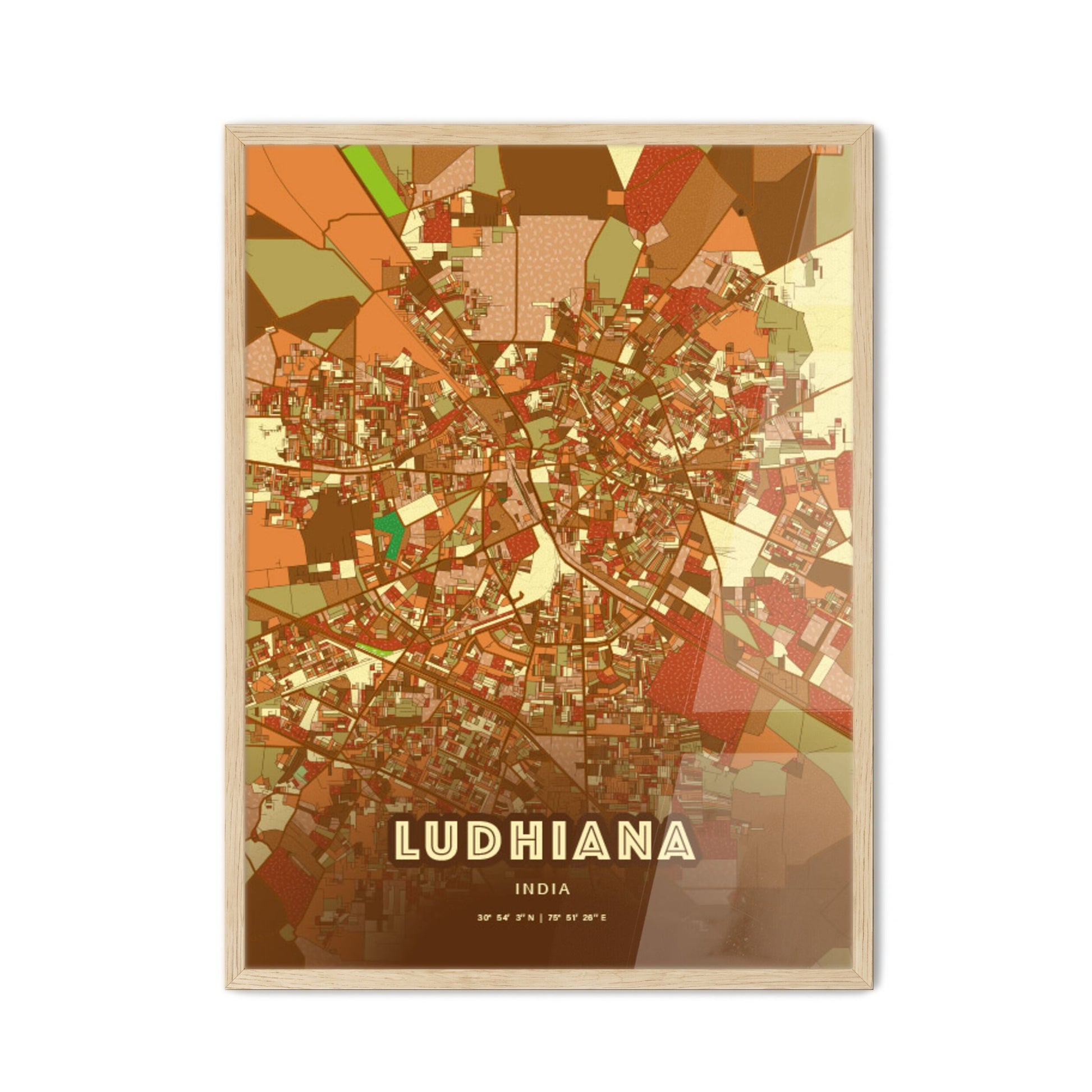 Colorful LUDHIANA INDIA Fine Art Map Farmhouse