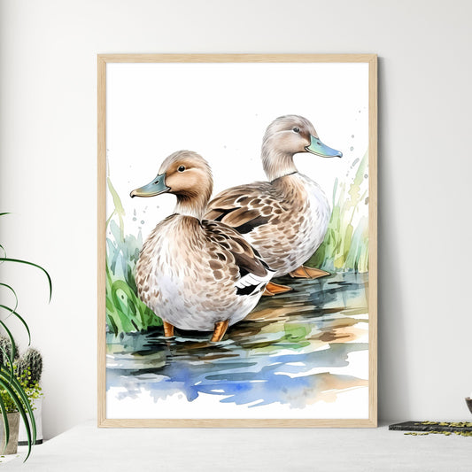 Watercolor Of Two Ducks Stand Wall Art