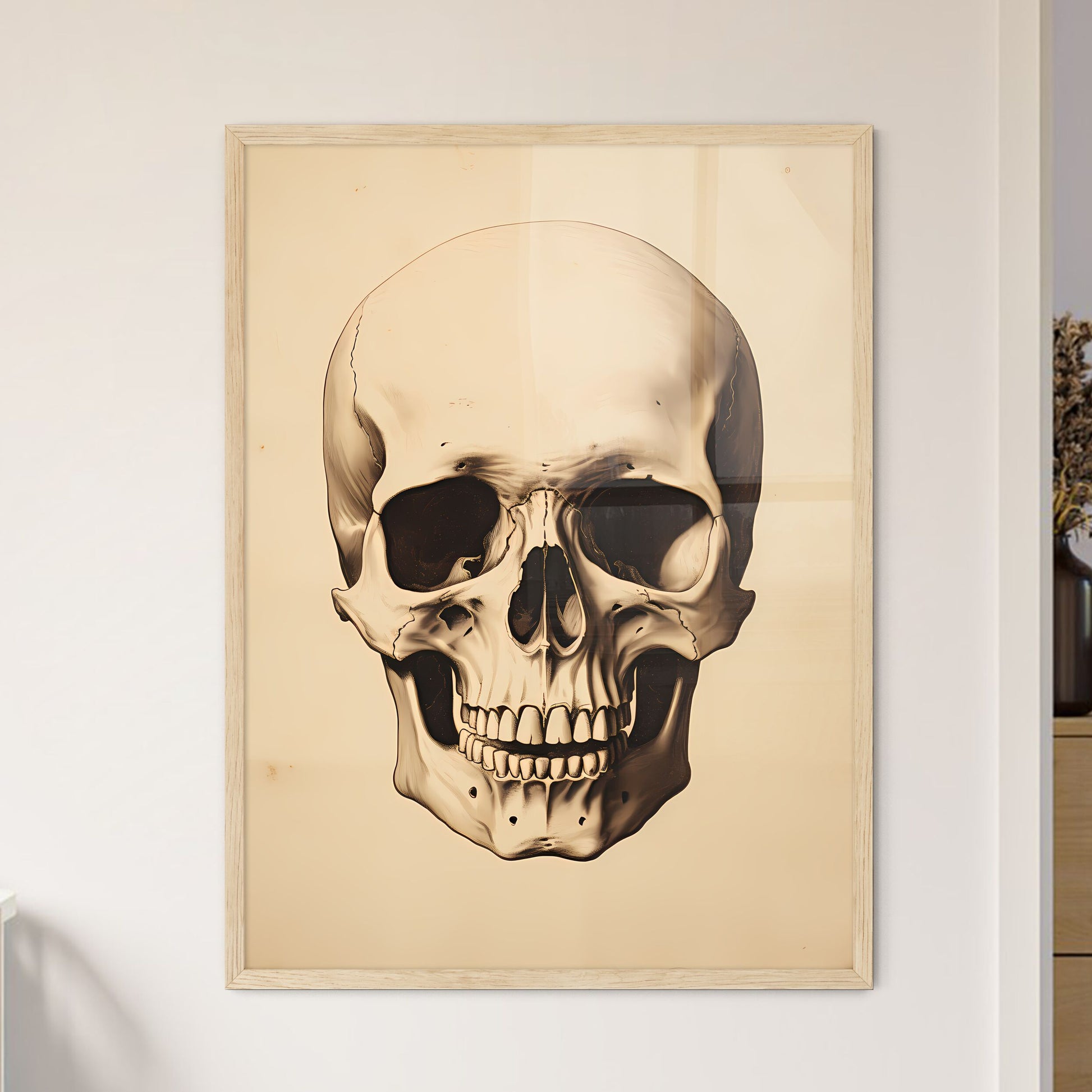 Study - A Skull On A White Background Default Title