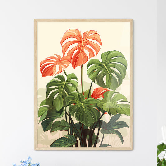 Boho - A Plant With Large Leaves Default Title