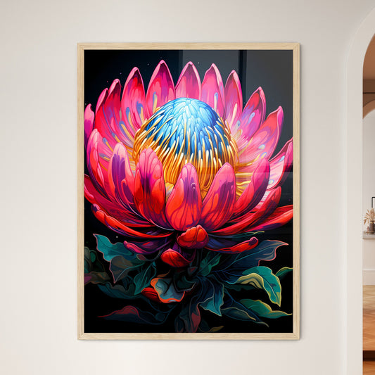 King Protea Isolated On Black Background Cen - Framed Art Print